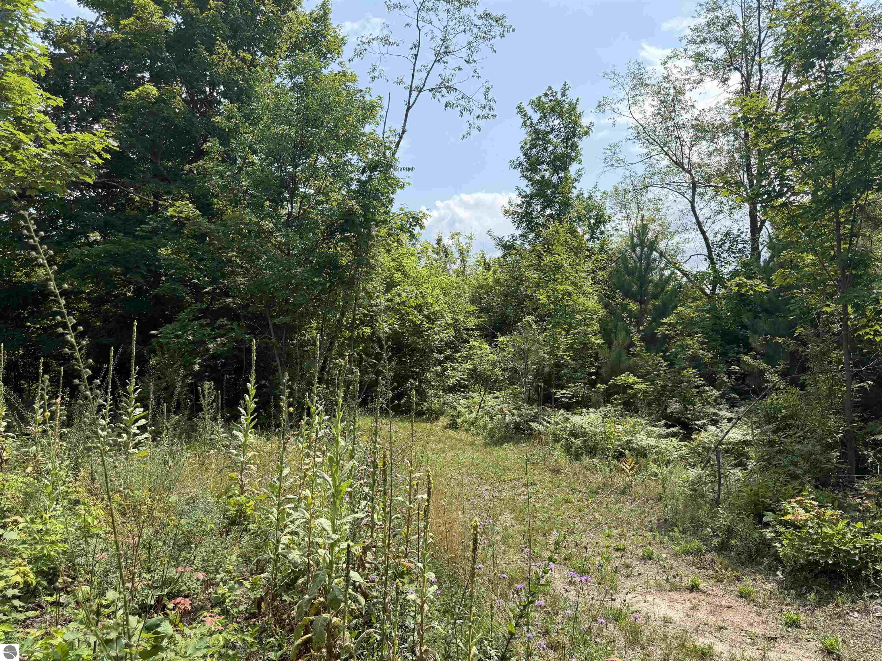 Image 19