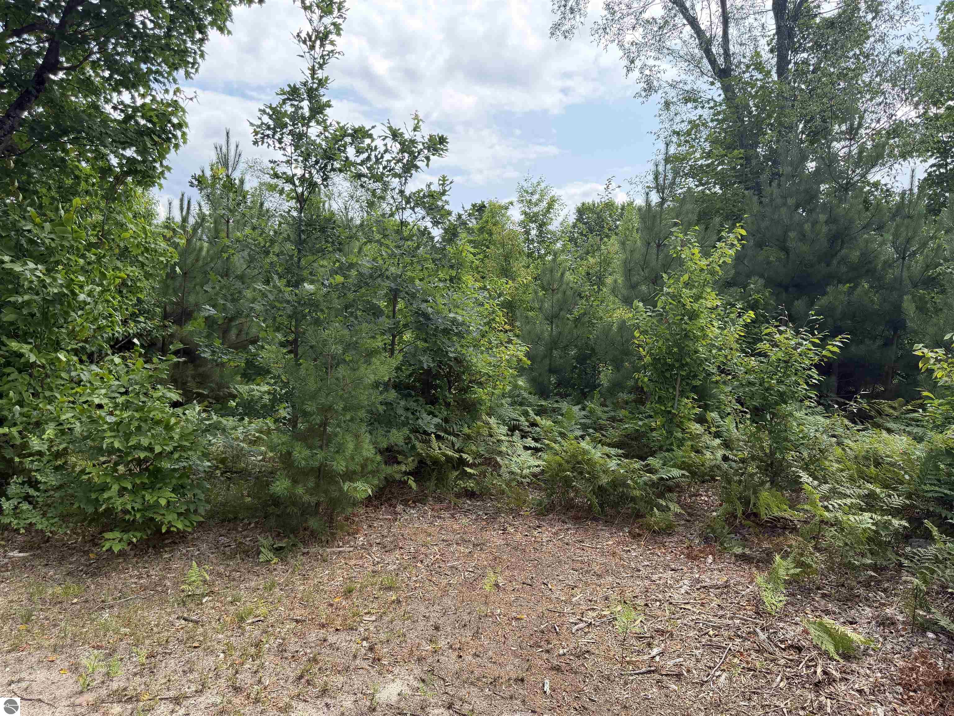 Image 20