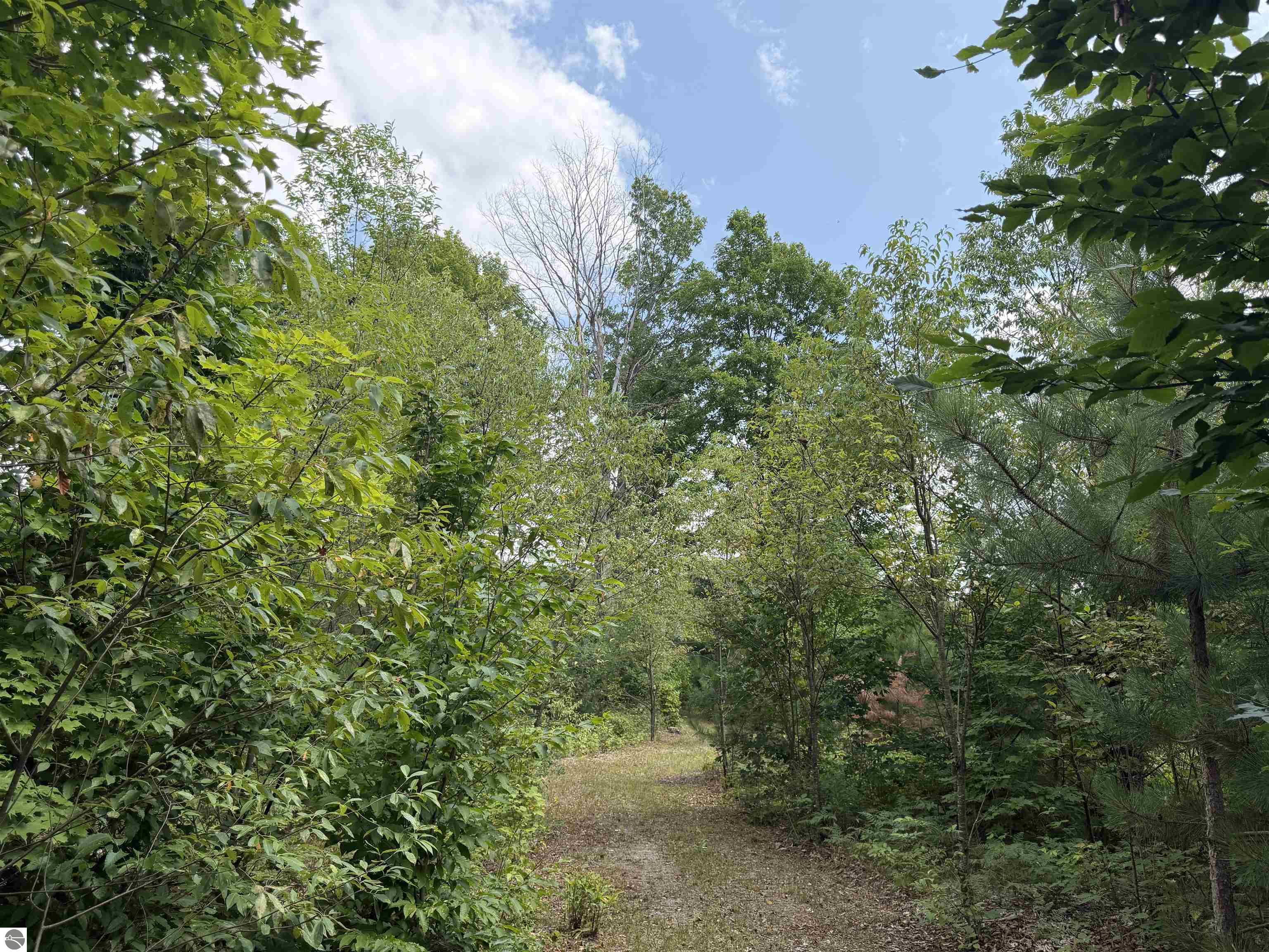 Image 22