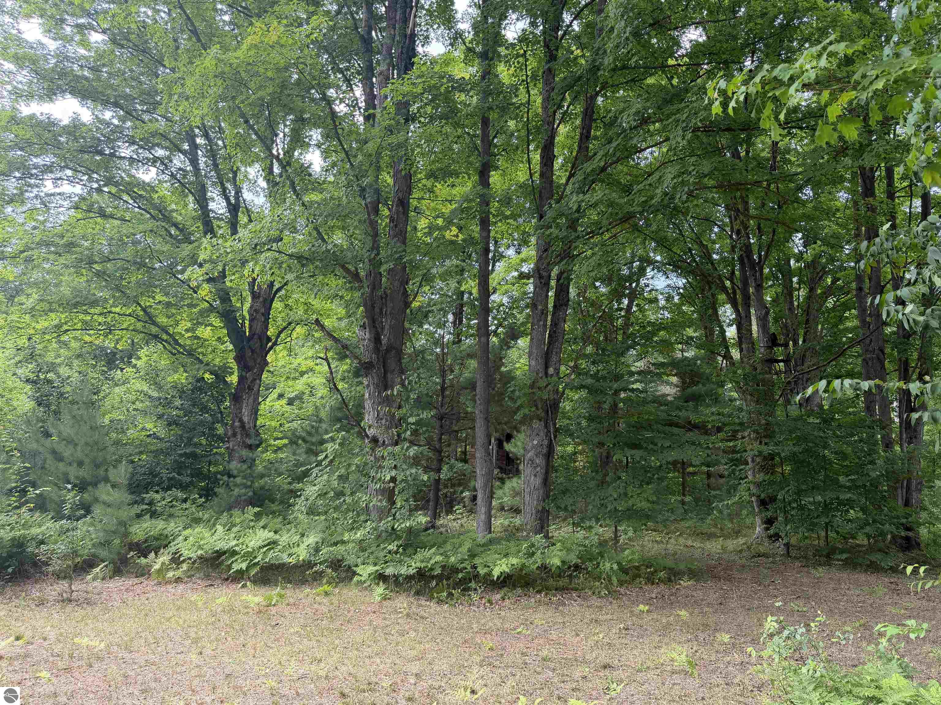 Image 9