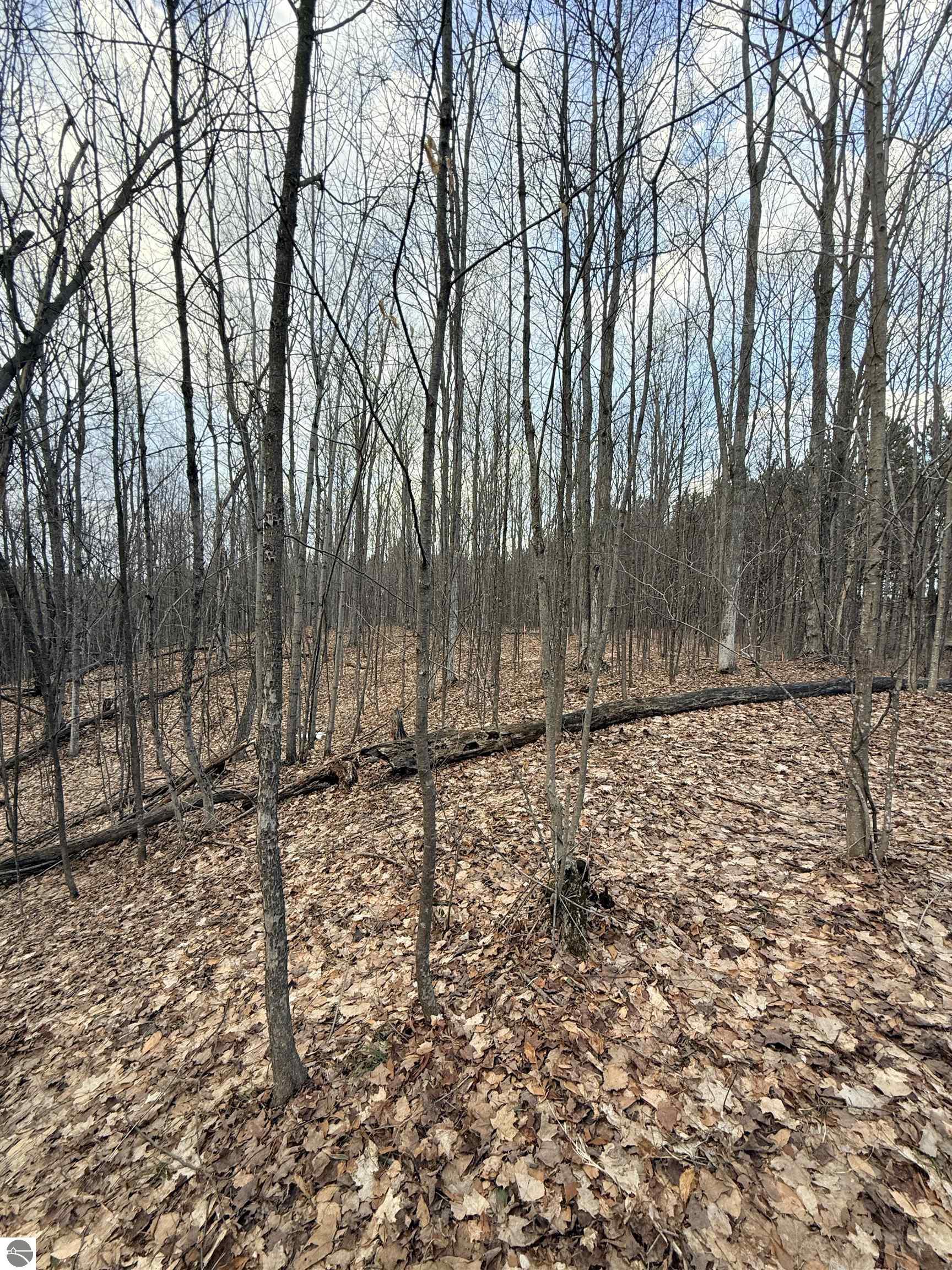 Image 14