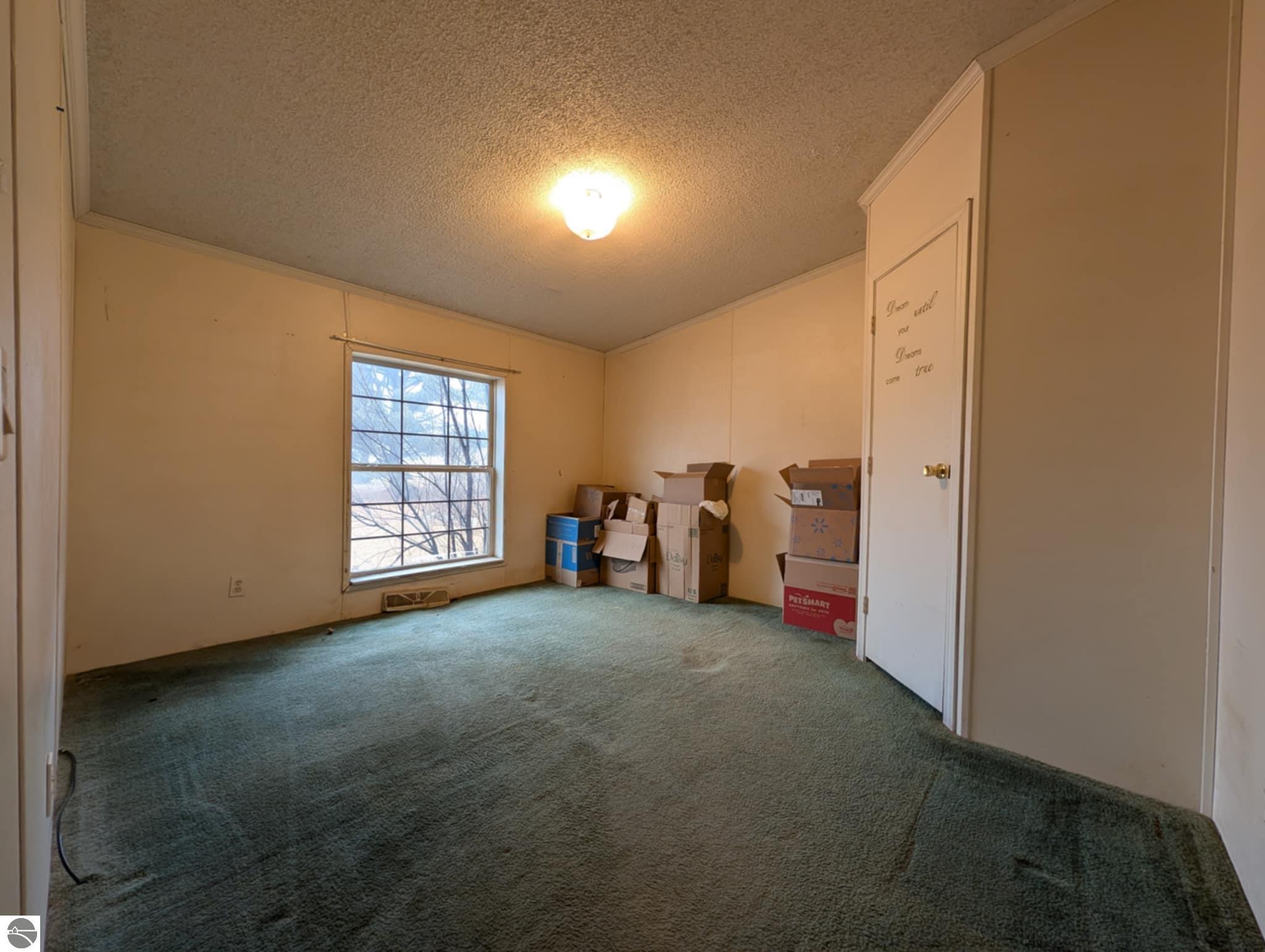 6046 Douglas Road, Riverdale, MI 48877 — Photo 10