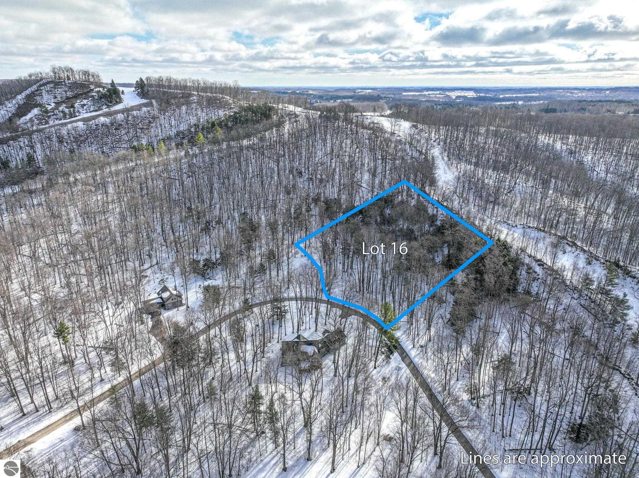 16 S Club Drive, Cedar, MI 49621 — Photo 8