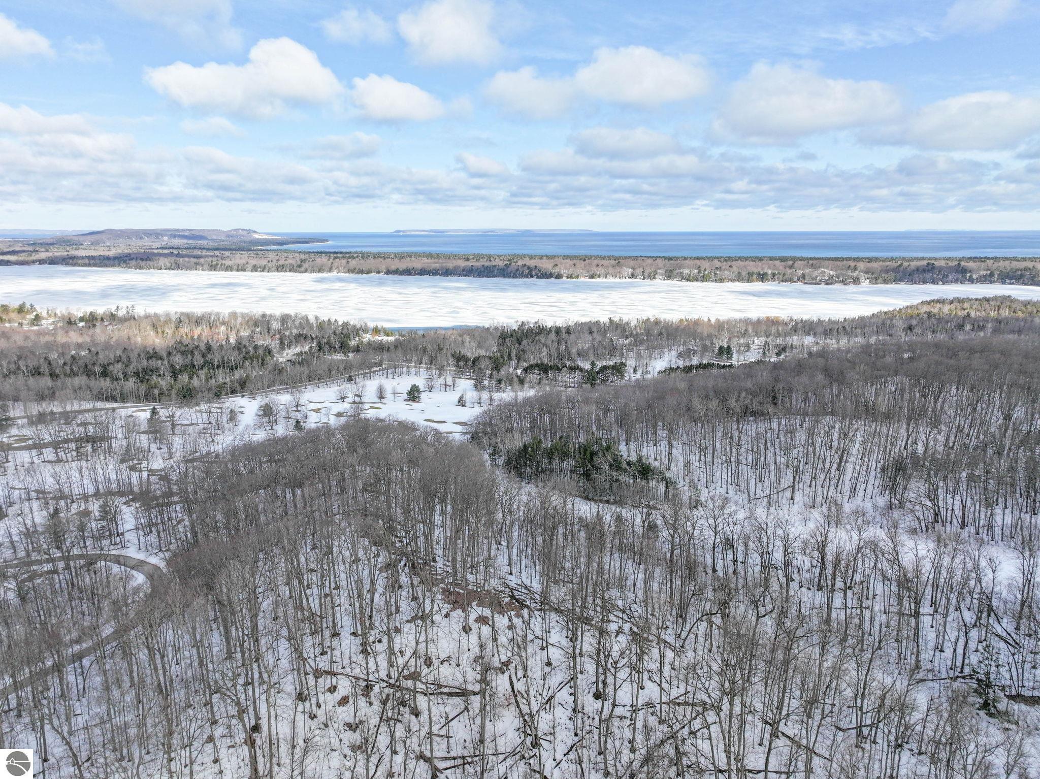 16 S Club Drive, Cedar, MI 49621 — Photo 10
