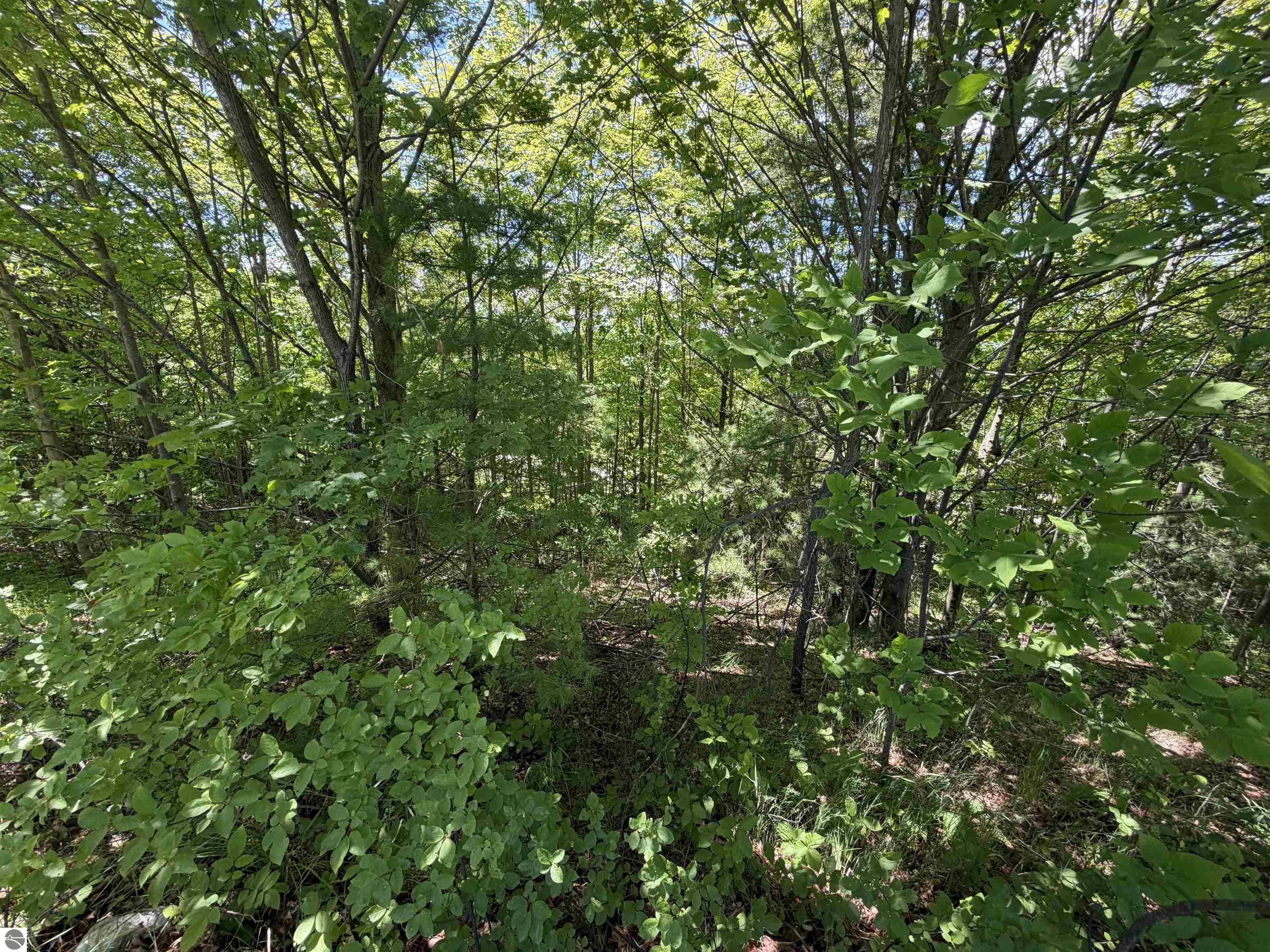 Image 14