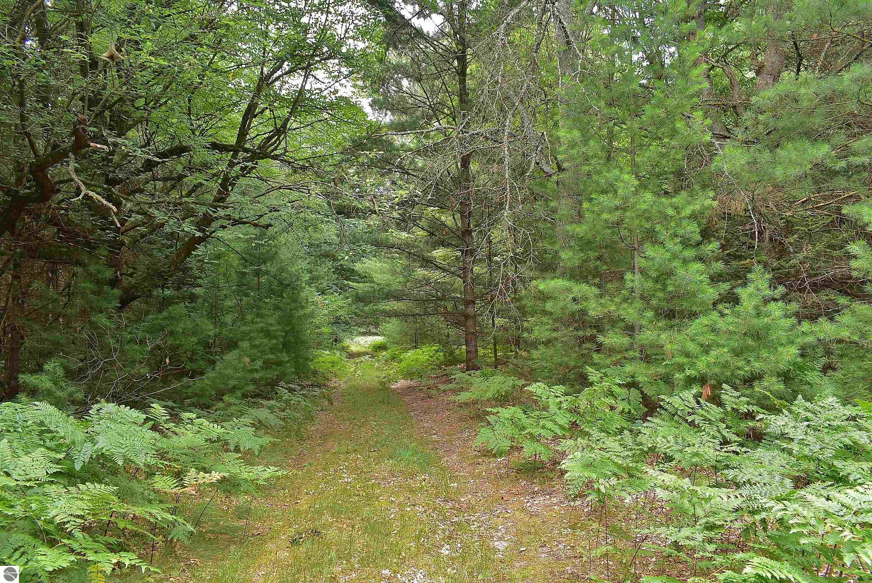 Image 14