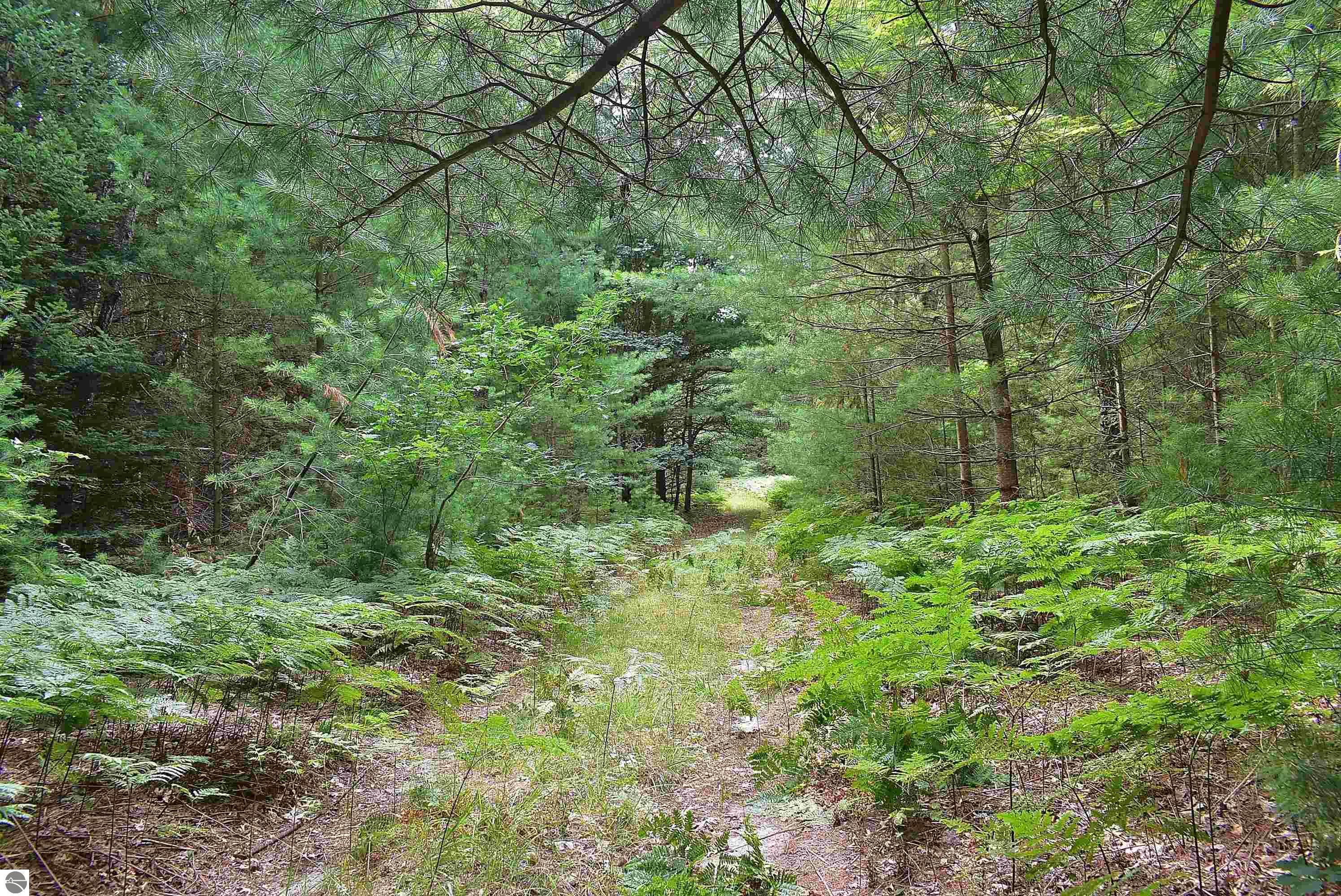 Image 15