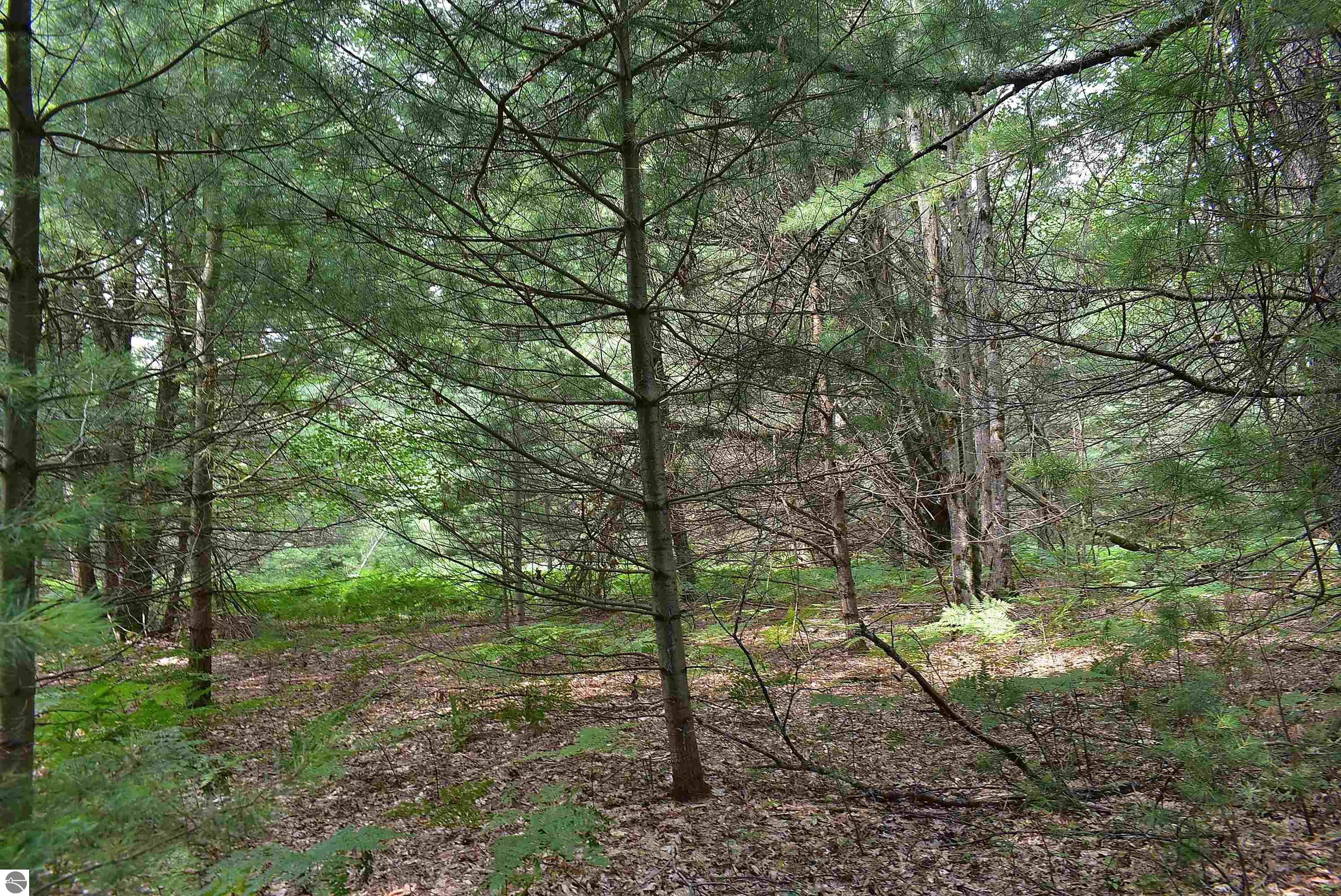 Image 18