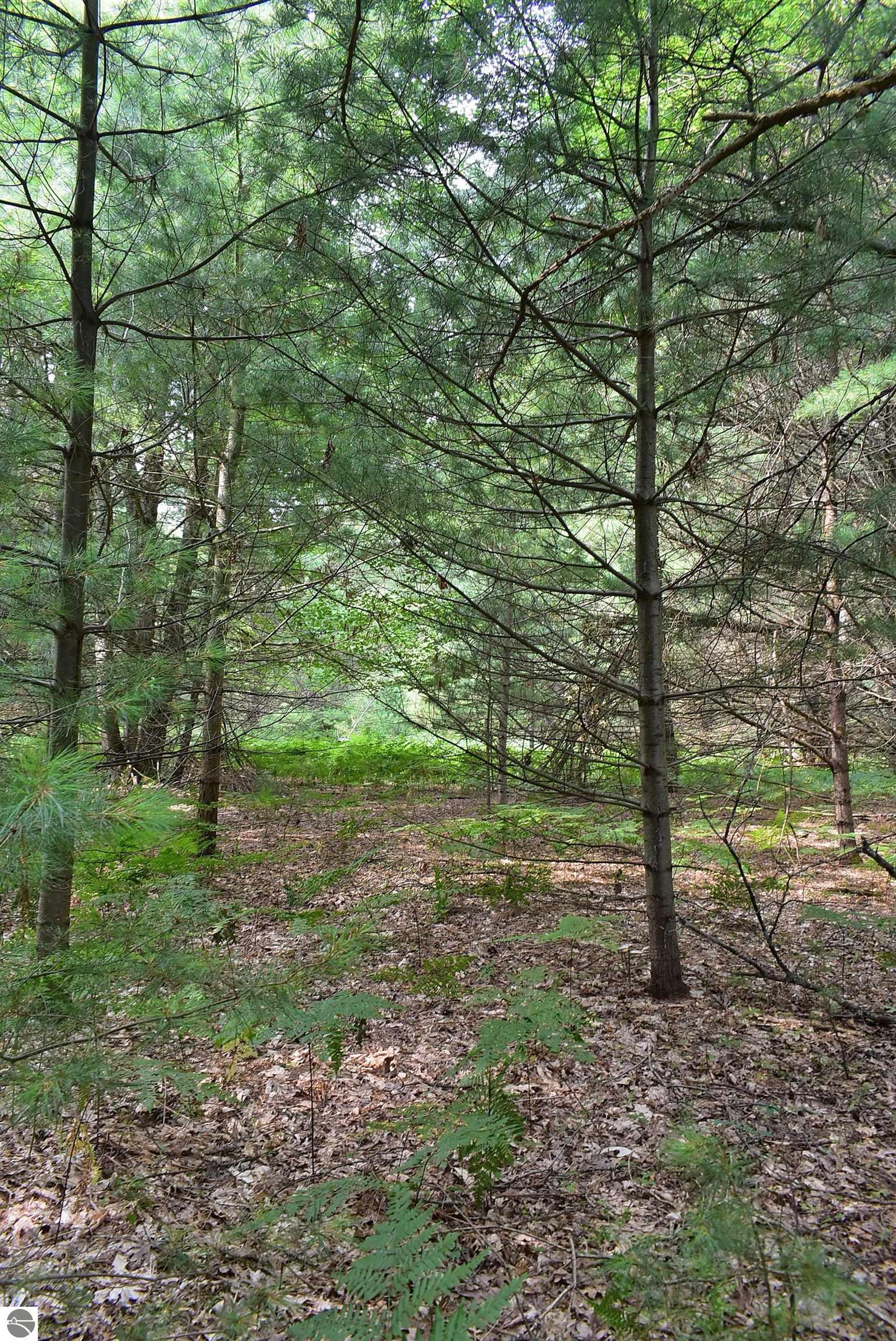 Image 19