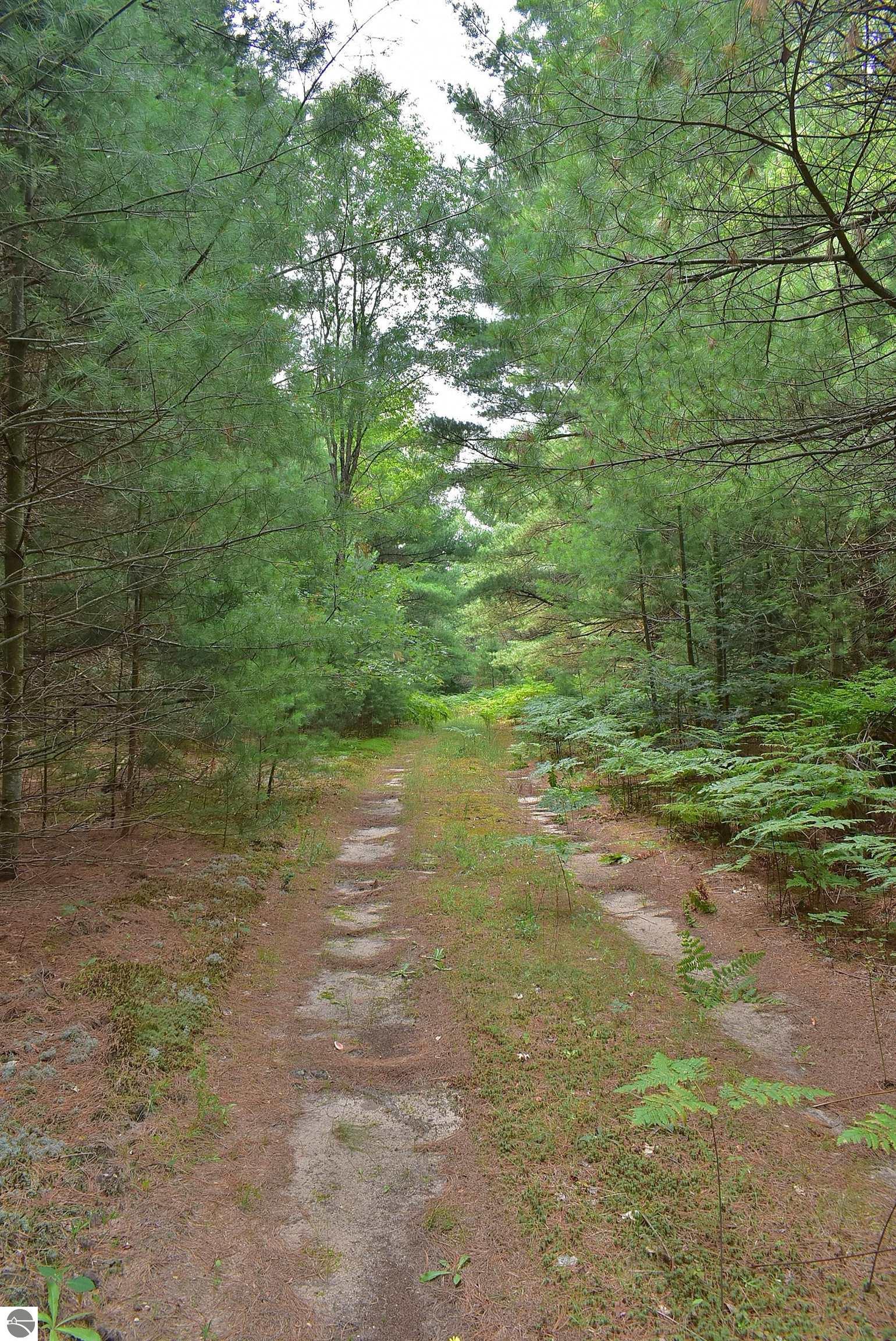 Image 23