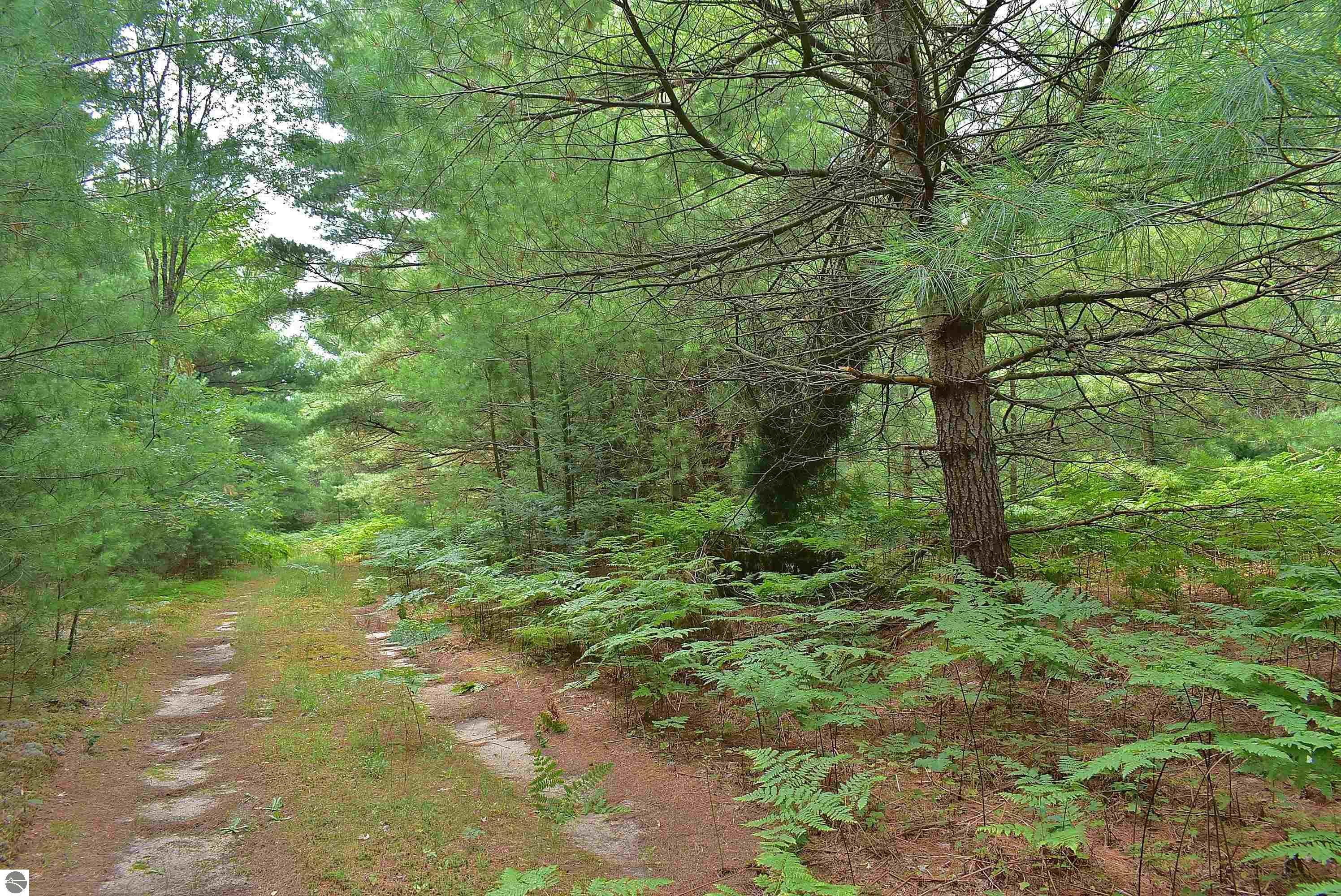 Image 25