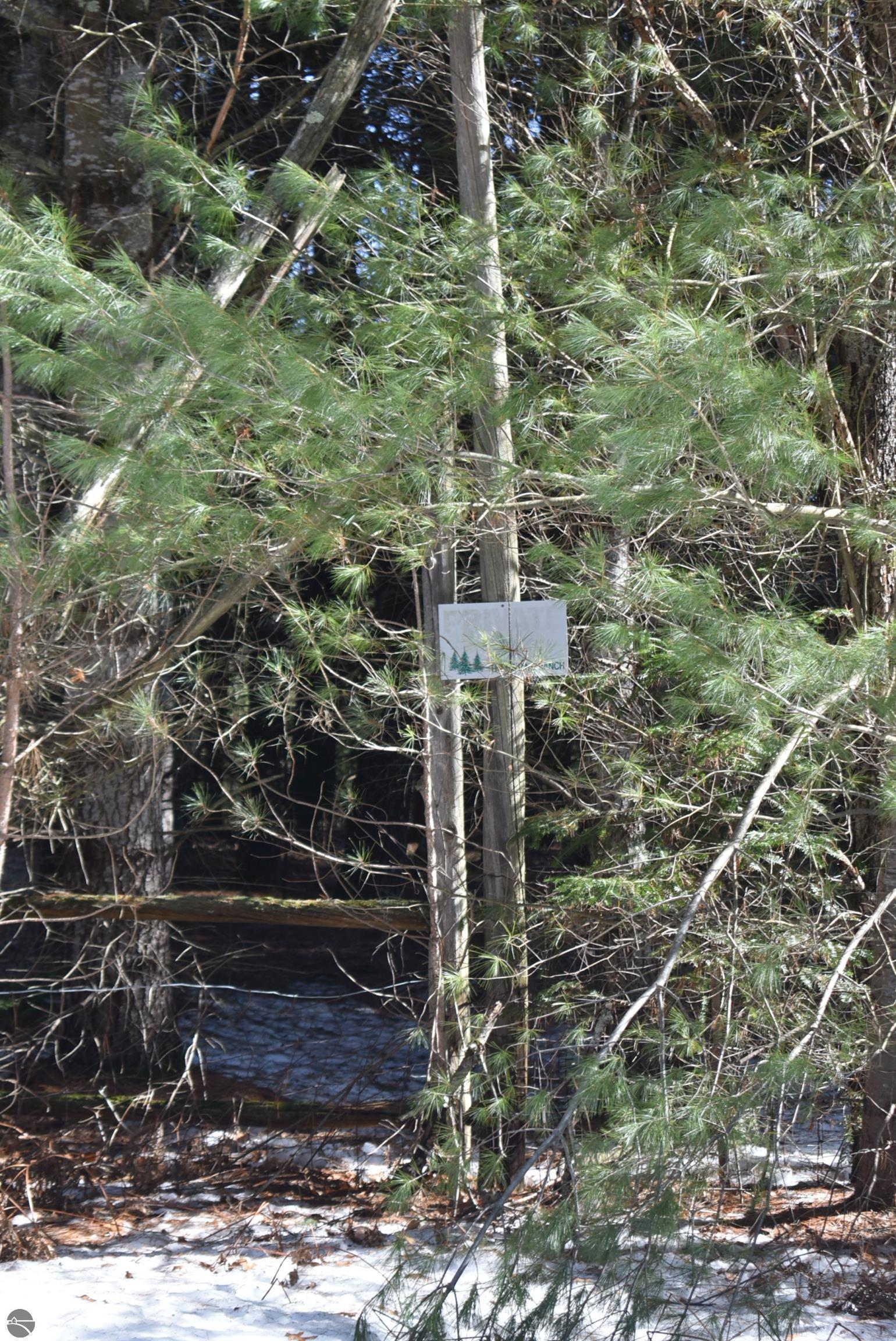 Image 40