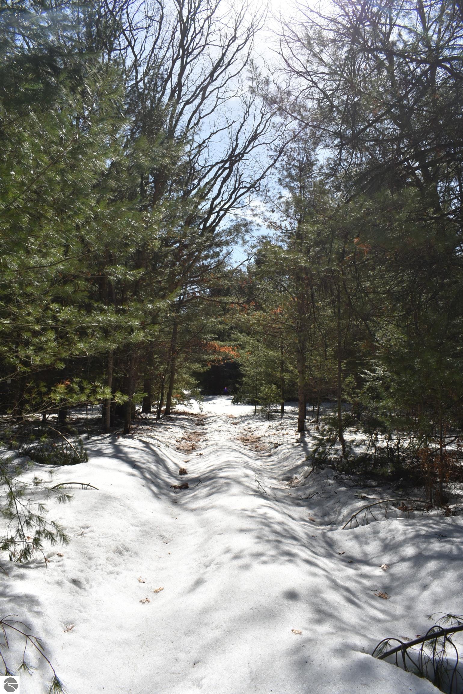 Image 48
