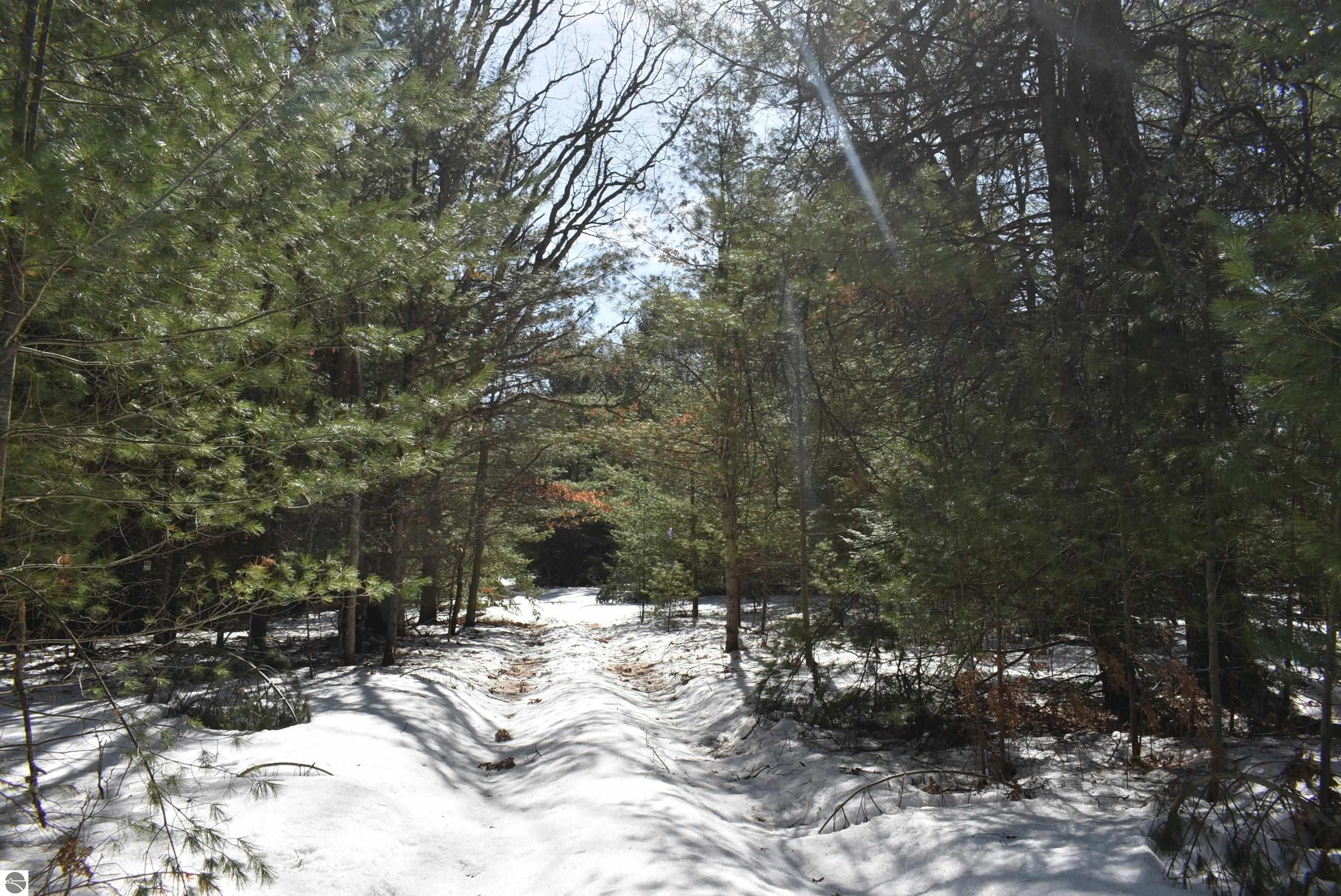 Image 49