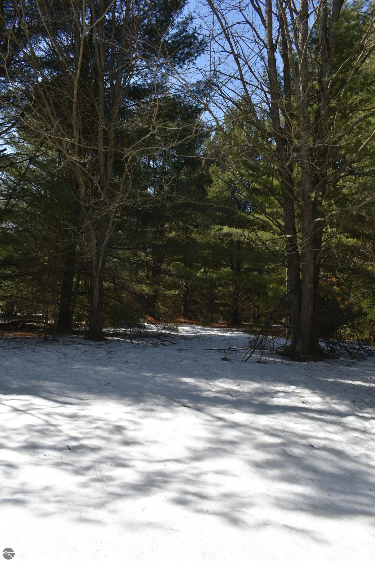 Image 53