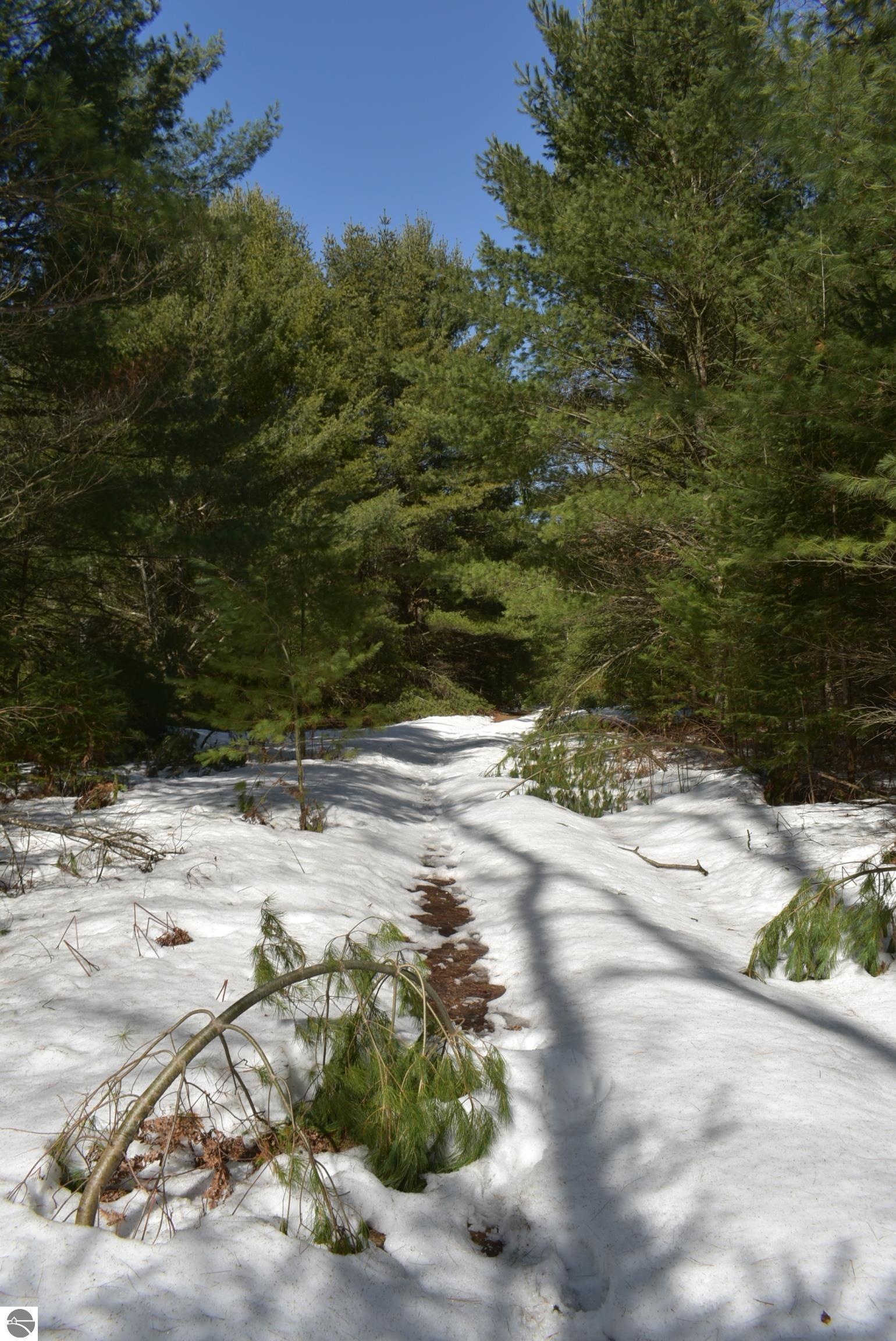 Image 63