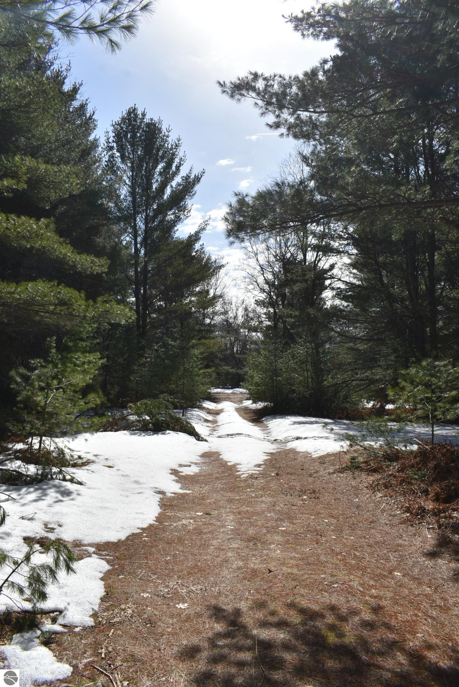 Image 66