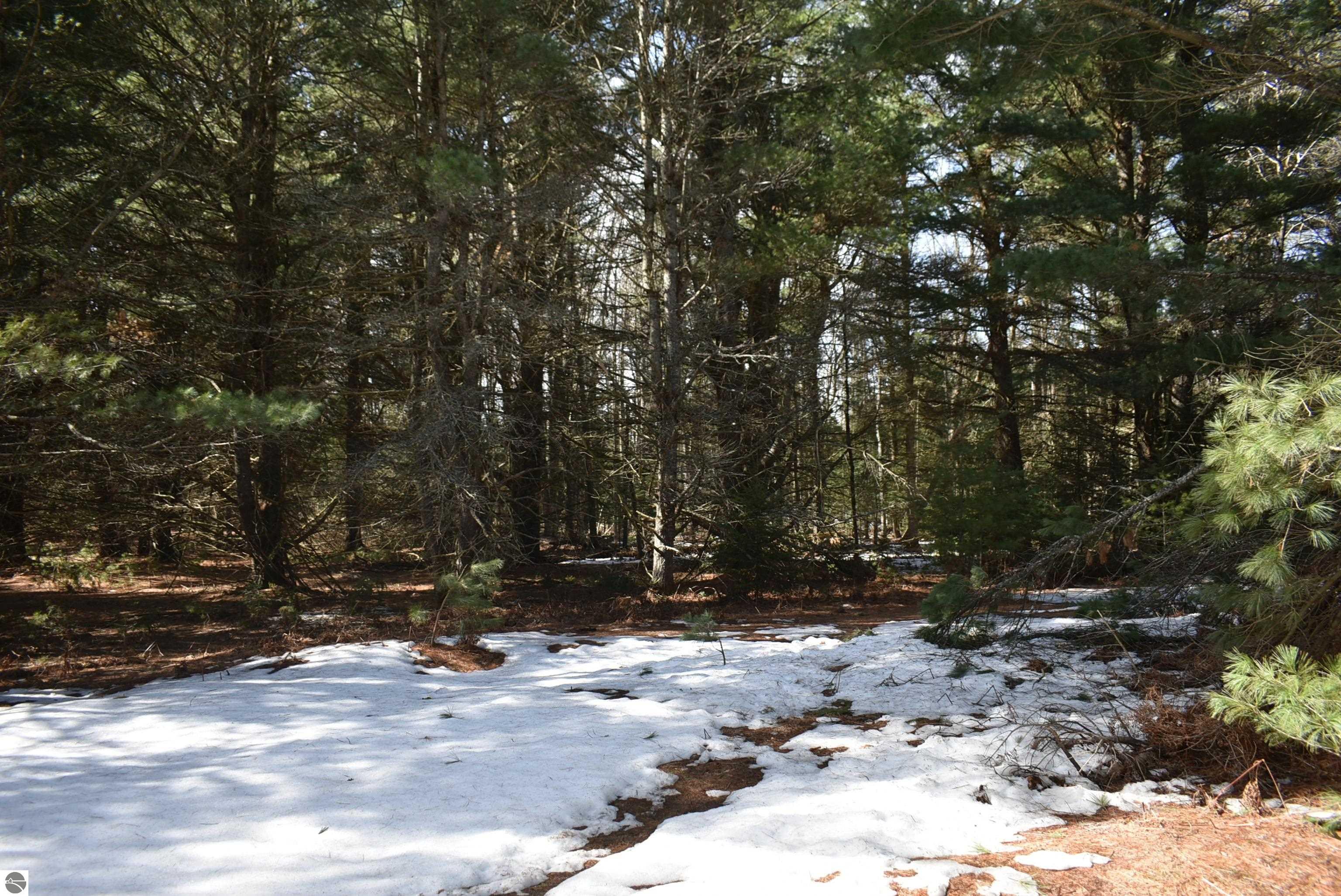 Image 67
