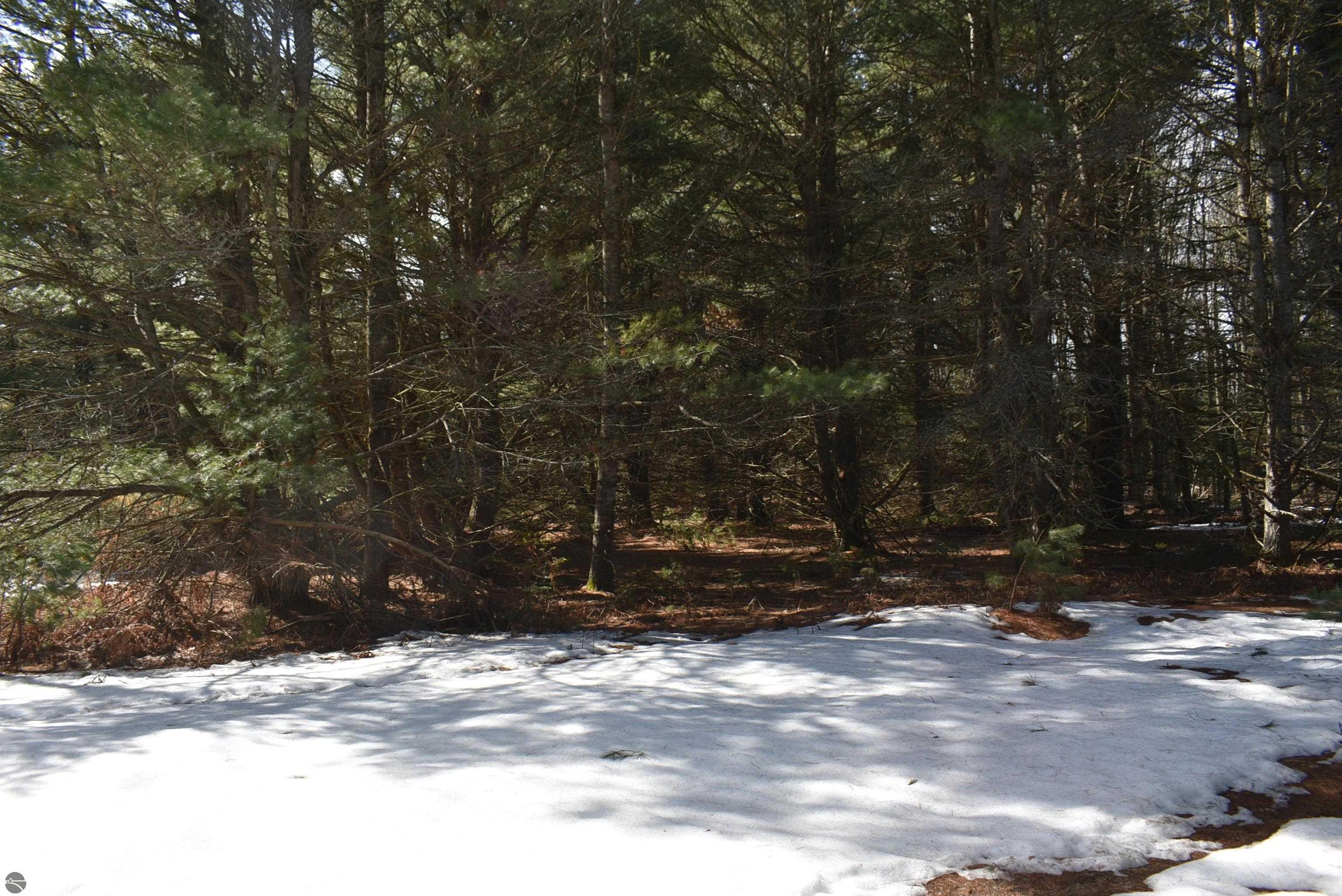 Image 68