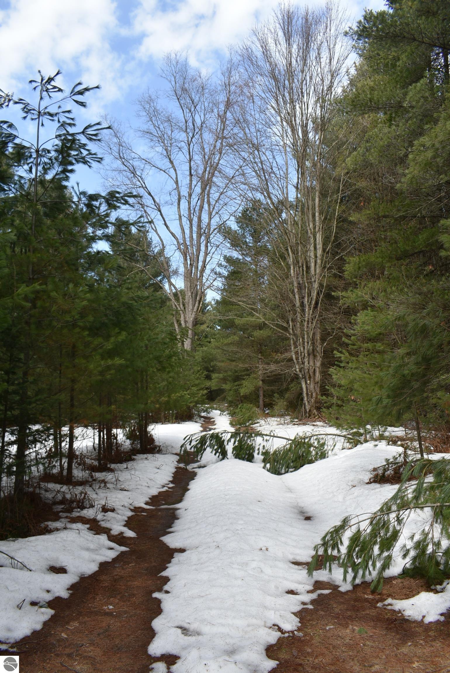 Image 72