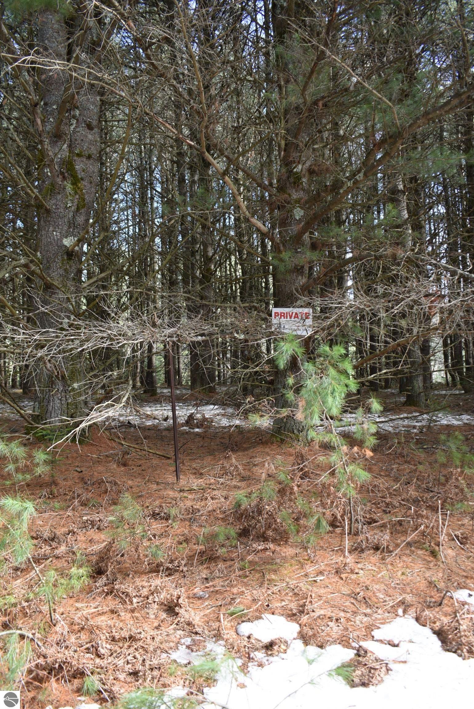 Image 79