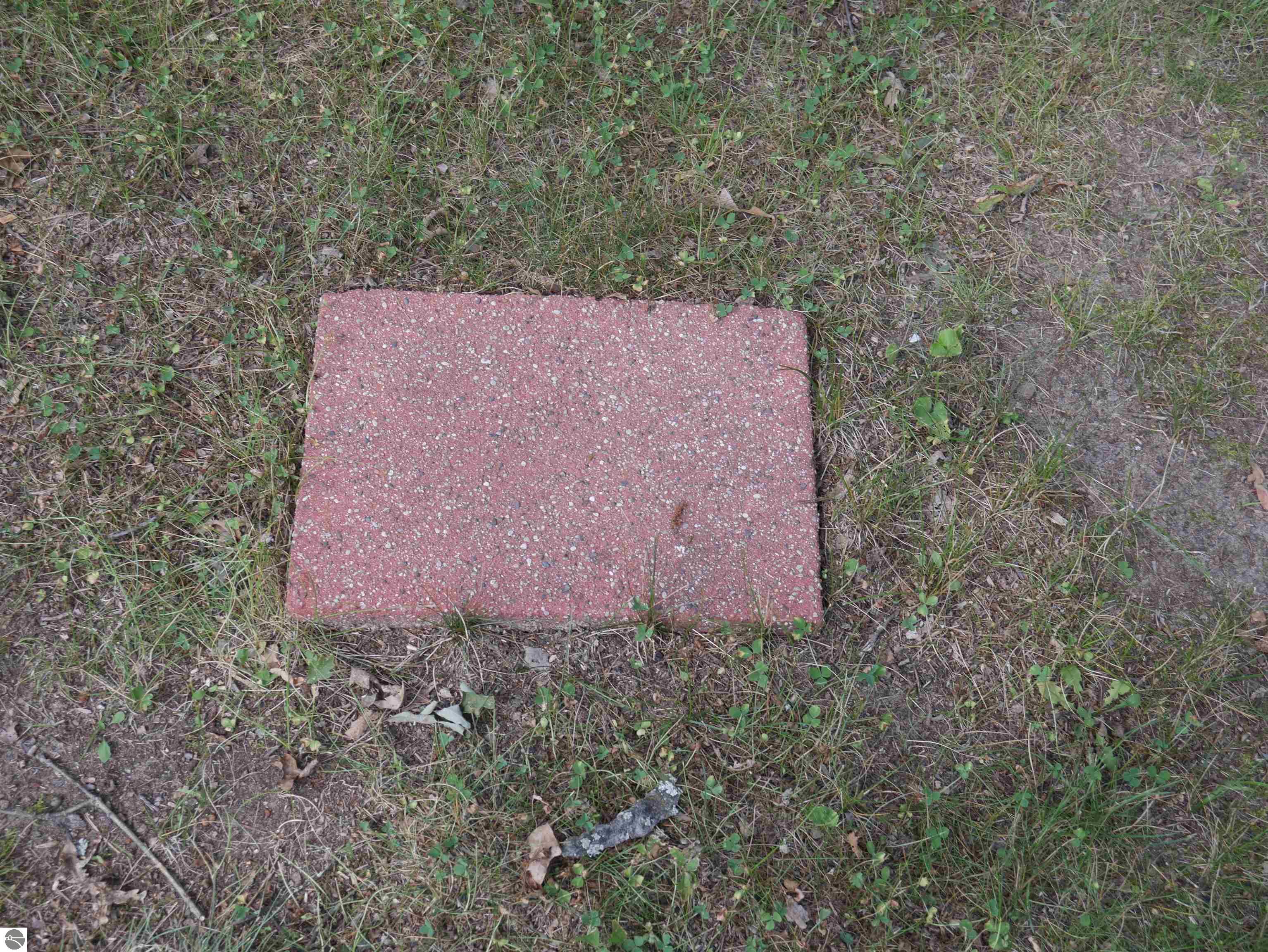 8200 Chain Lake Road, South Branch, MI 48761 — Photo 43