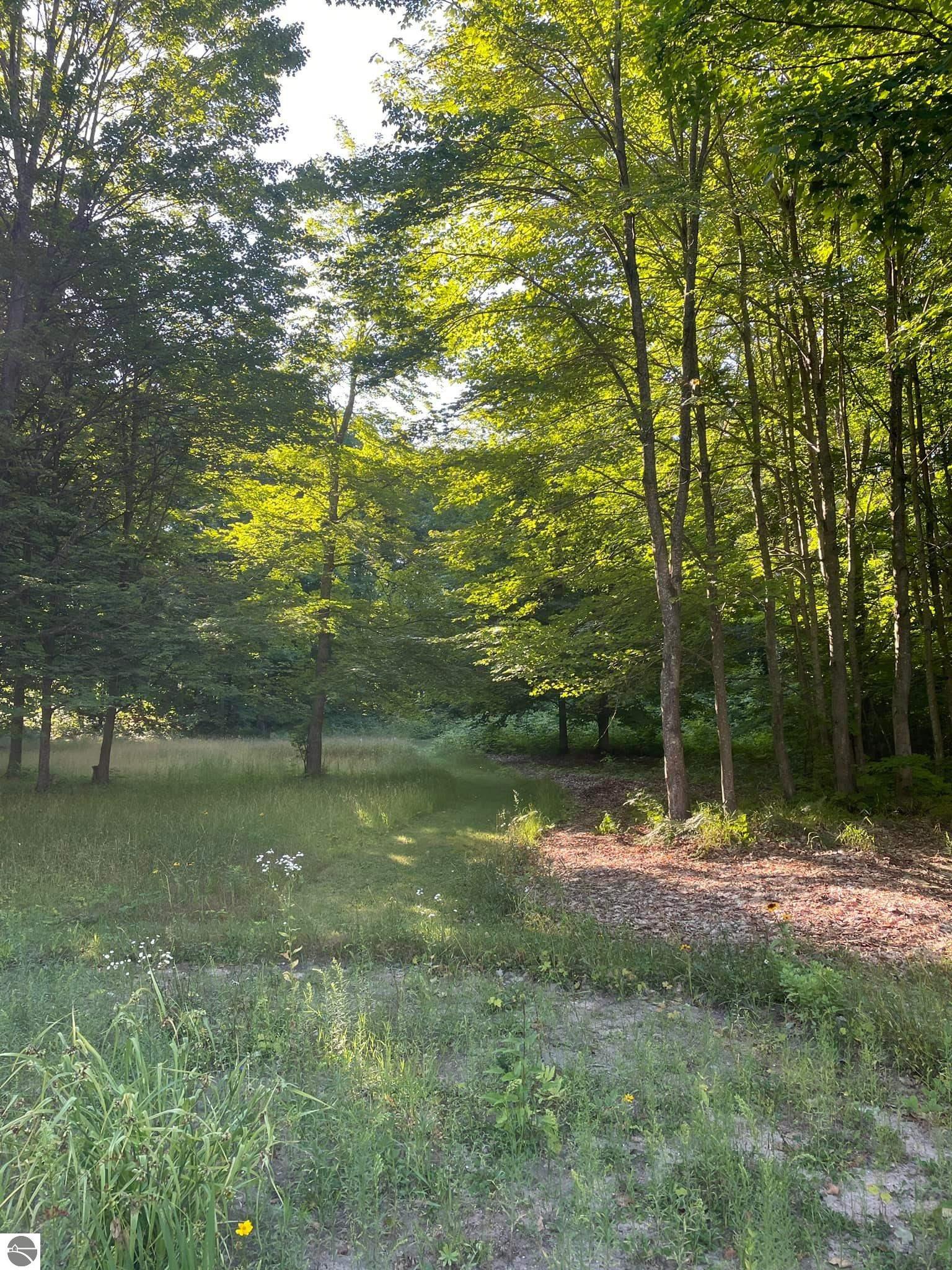 9122 Grimm Lane, Mancelona, MI 49659 — Photo 84