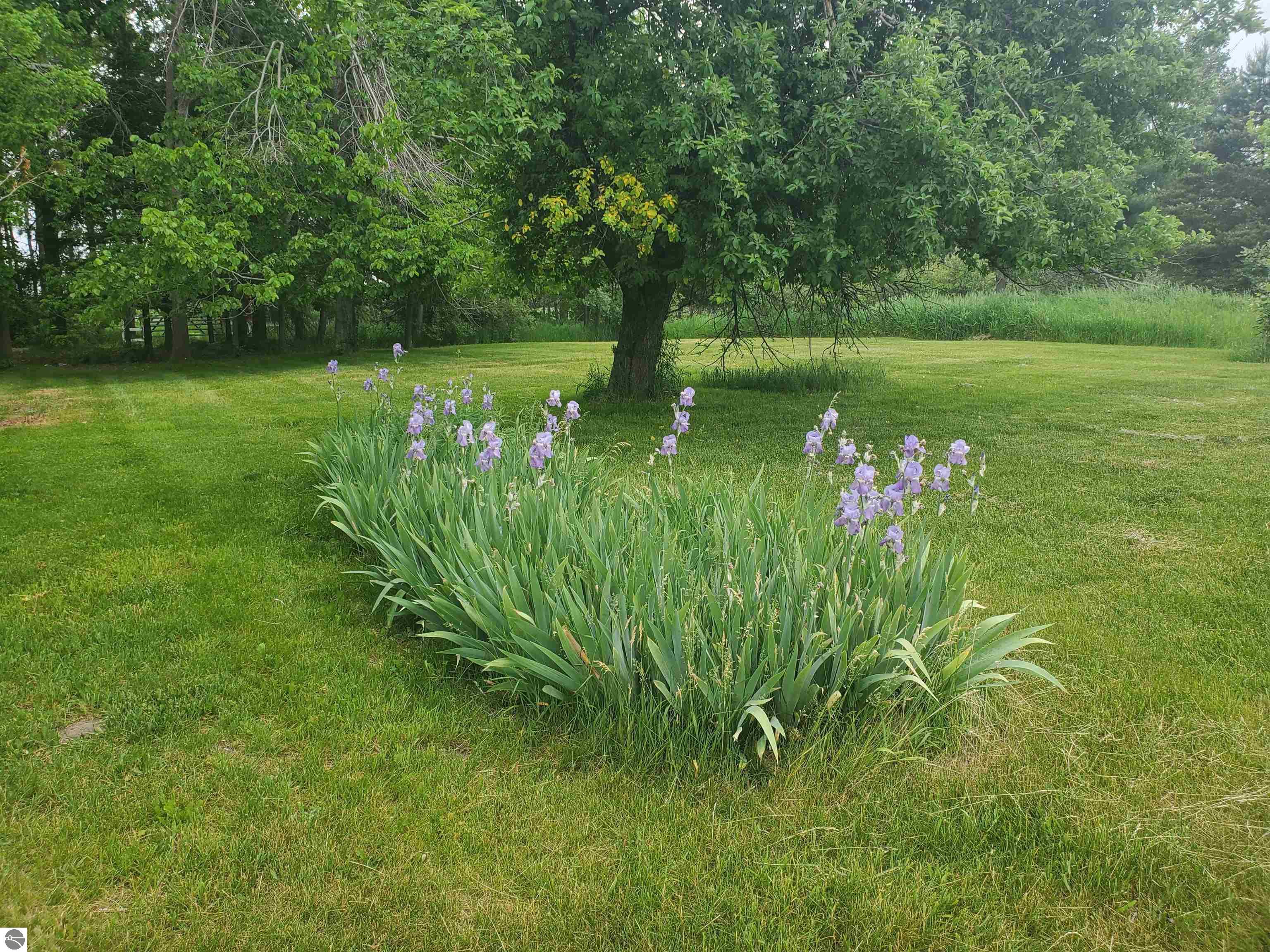 9530 W Denver Road, Lake, MI 48632 — Photo 17