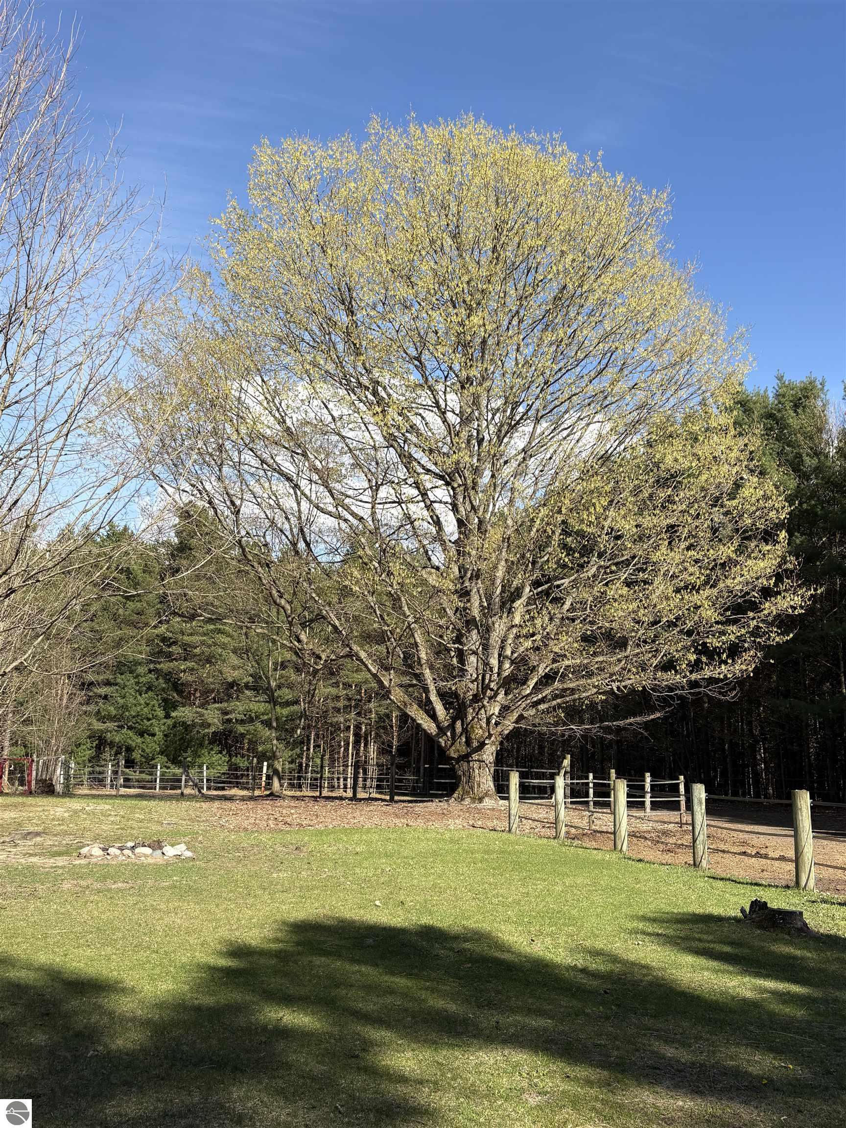 4911 Red Pine Trail, Empire, MI 49630 — Photo 13