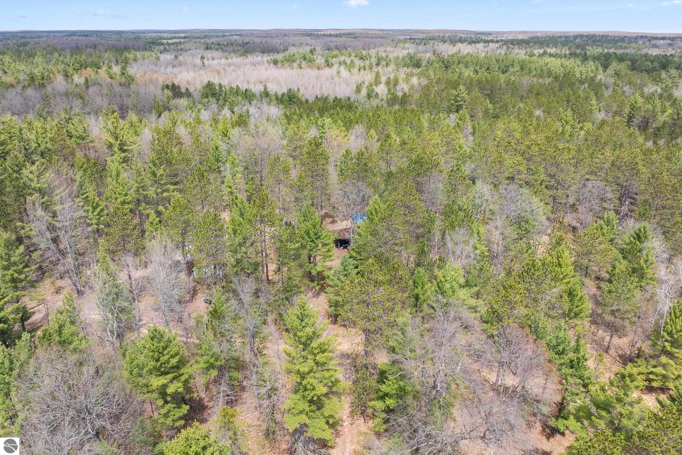 12635 SE Piper Circle, Kalkaska, MI 49646 — Photo 2