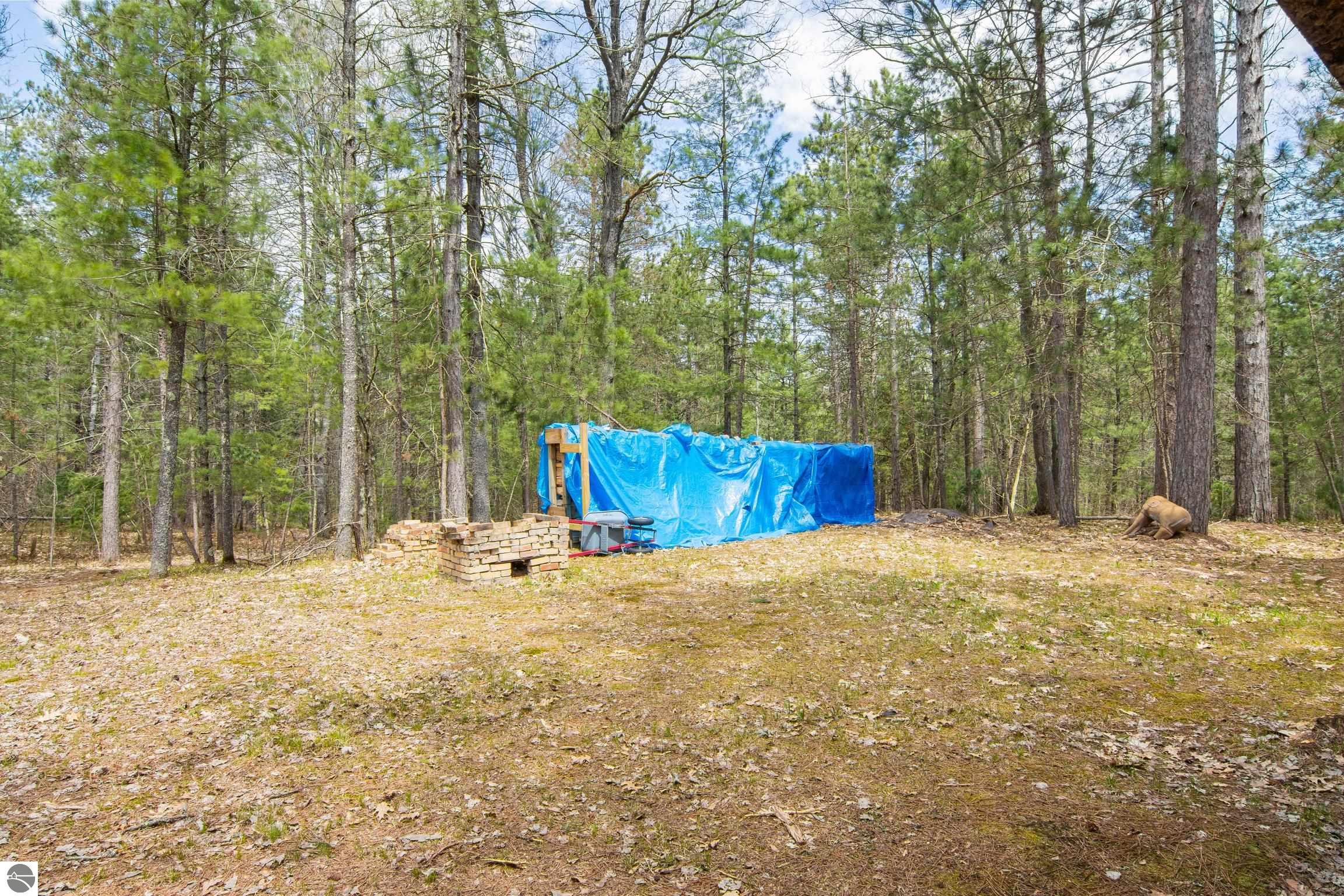 12635 SE Piper Circle, Kalkaska, MI 49646 — Photo 3