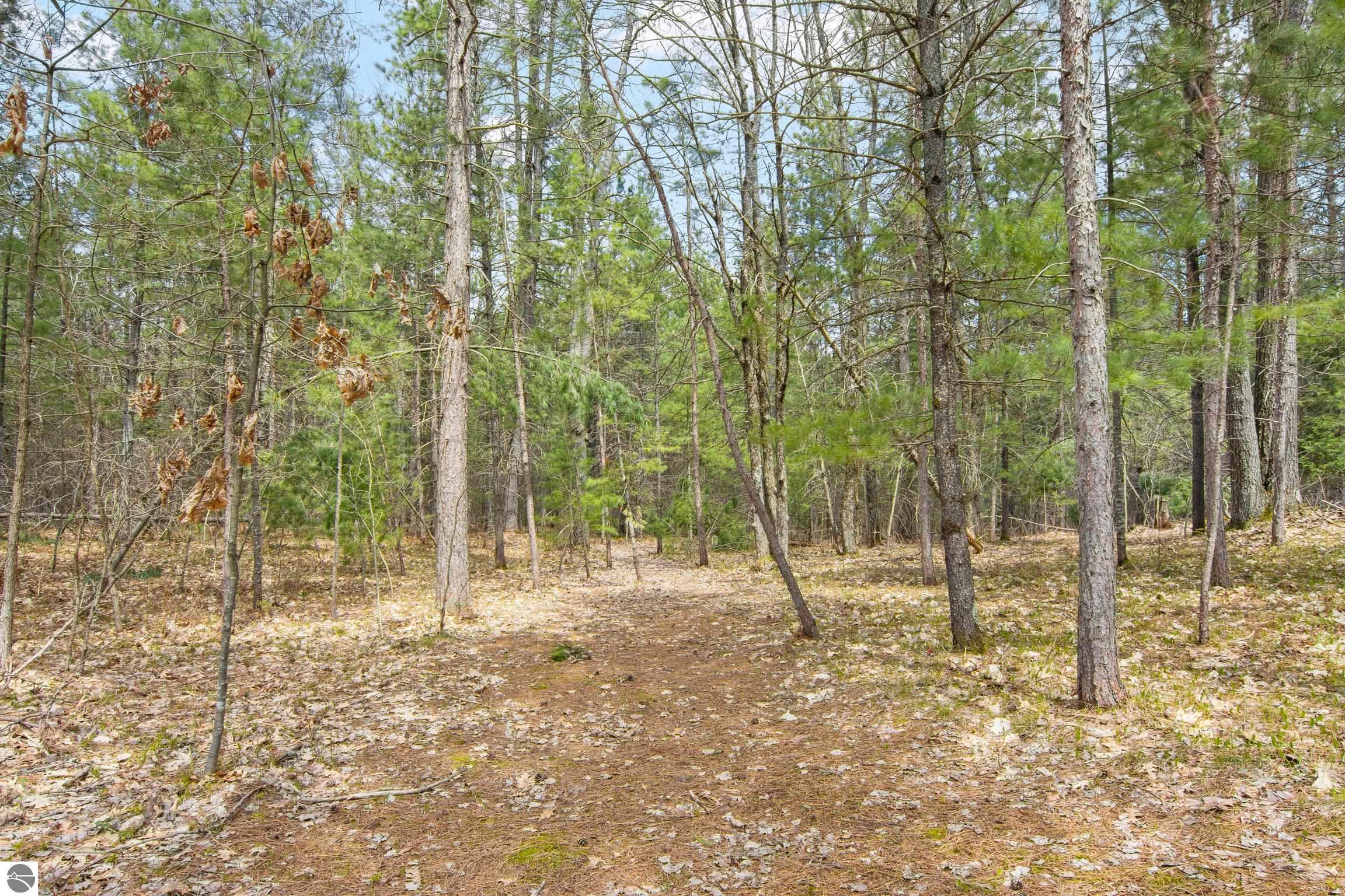 12635 SE Piper Circle, Kalkaska, MI 49646 — Photo 8