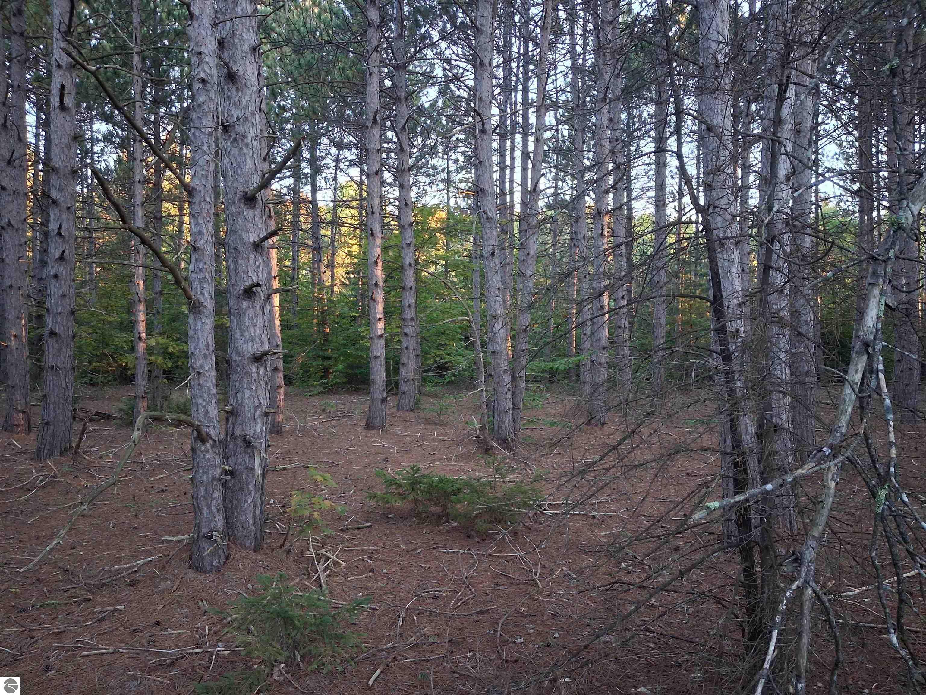 Image 8