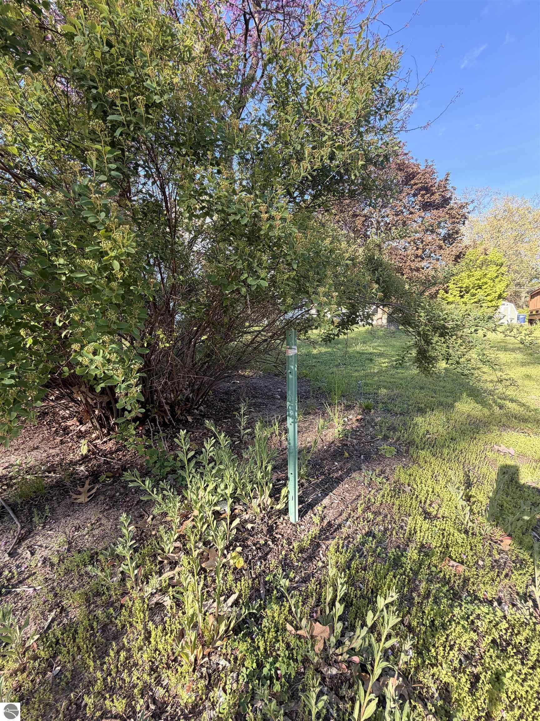 Image 14