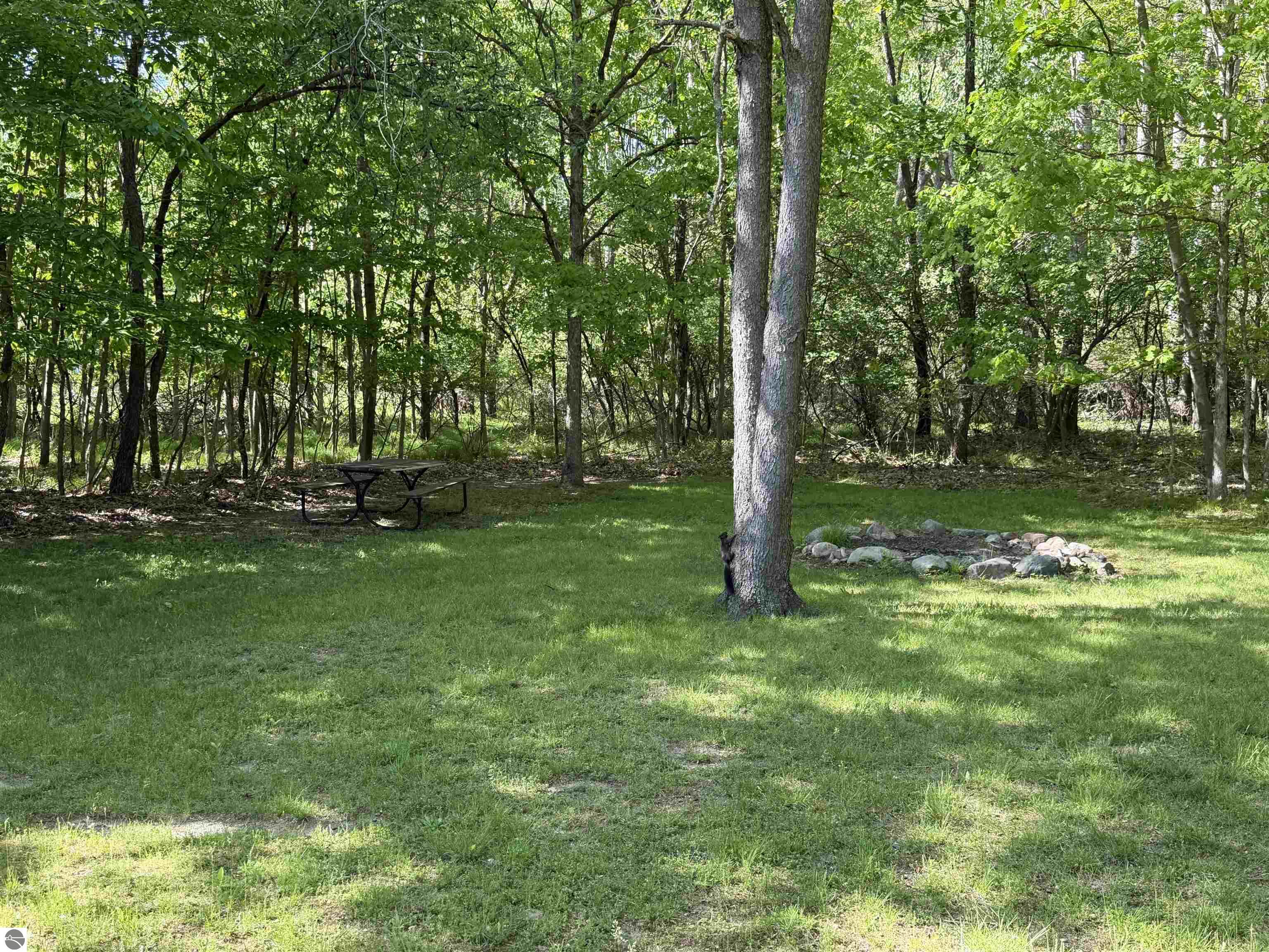 1010 Siesta Lane, Weidman, MI 48893 — Photo 23