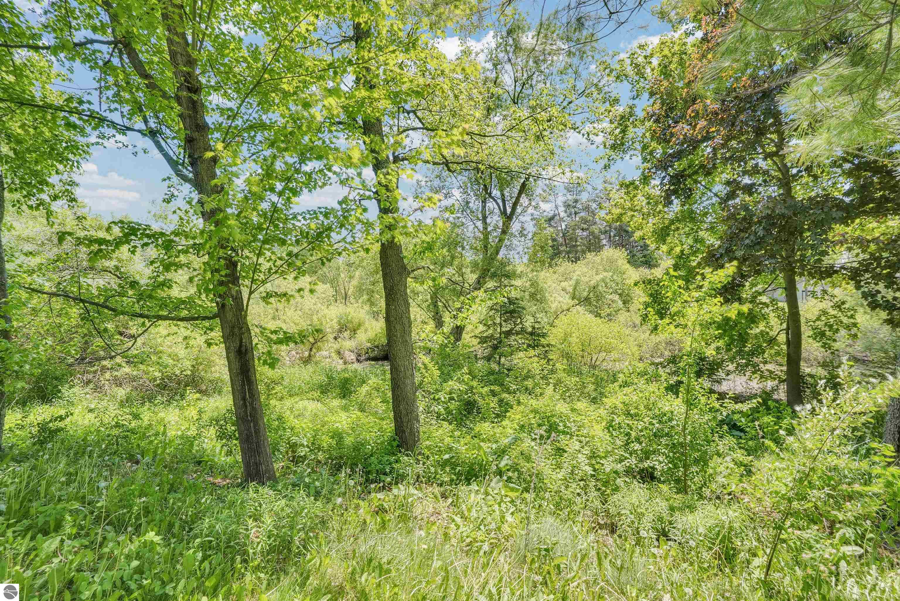550 Henry Street, Lake City, MI 49651 — Photo 37