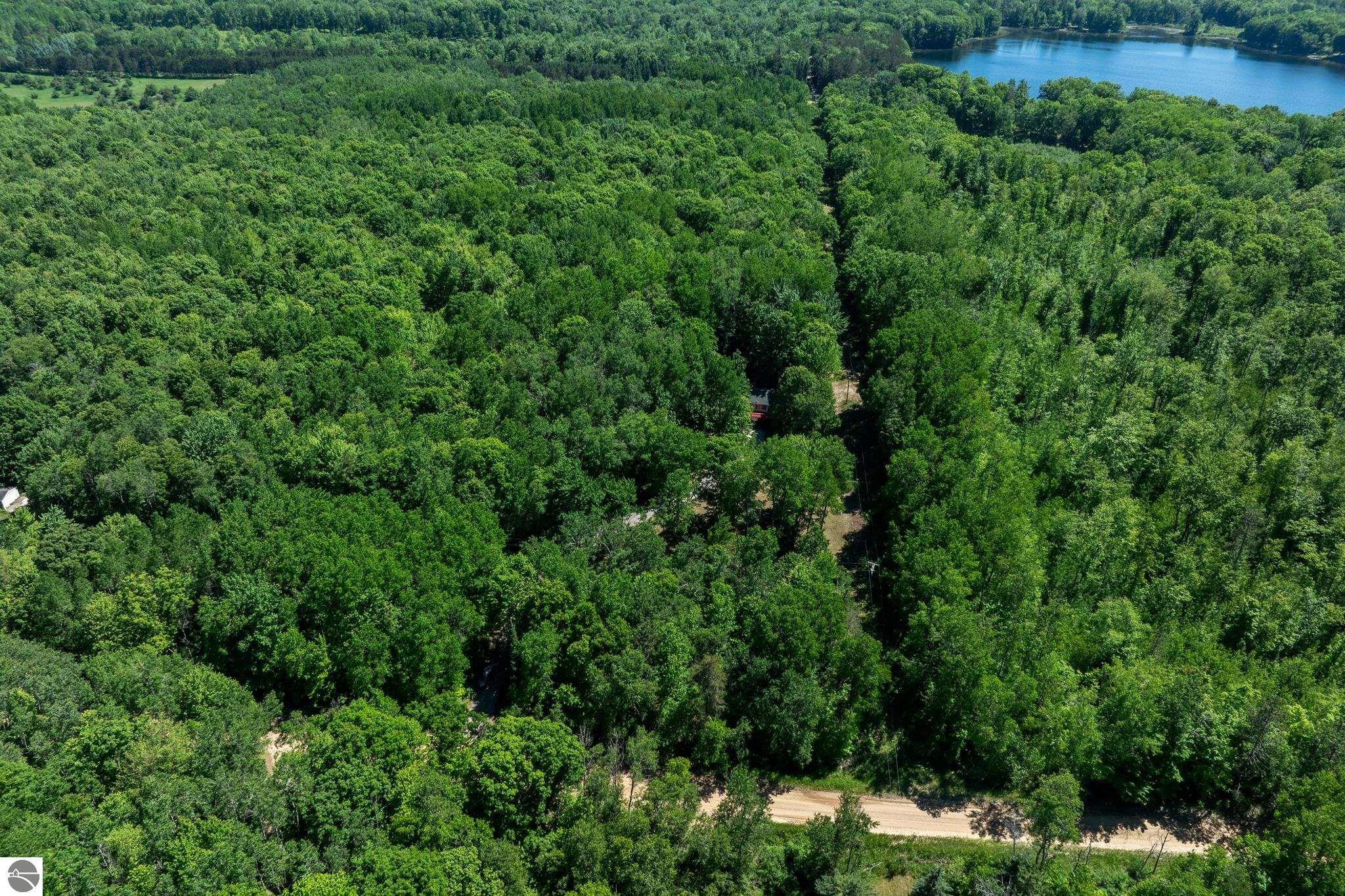 4377 W Adams Road, Lake, MI 48632 — Photo 50