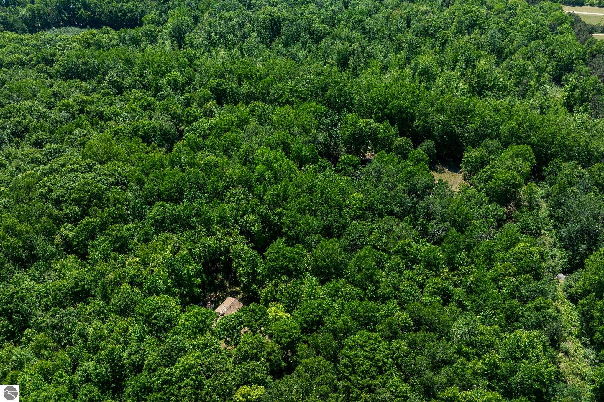 4377 W Adams Road, Lake, MI 48632 — Photo 52