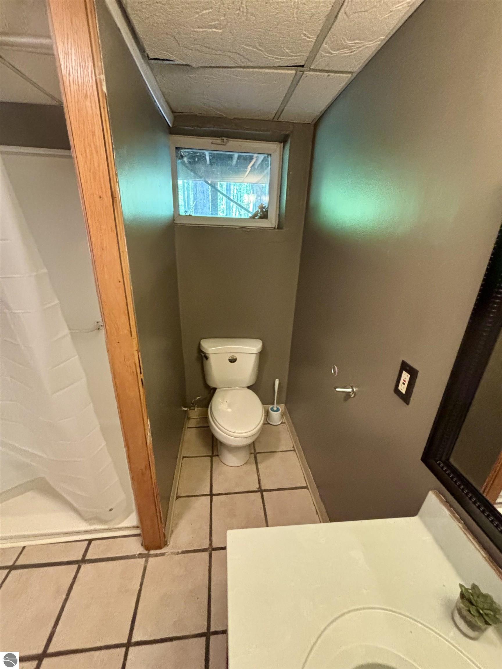 4377 W Adams Road, Lake, MI 48632 — Photo 10