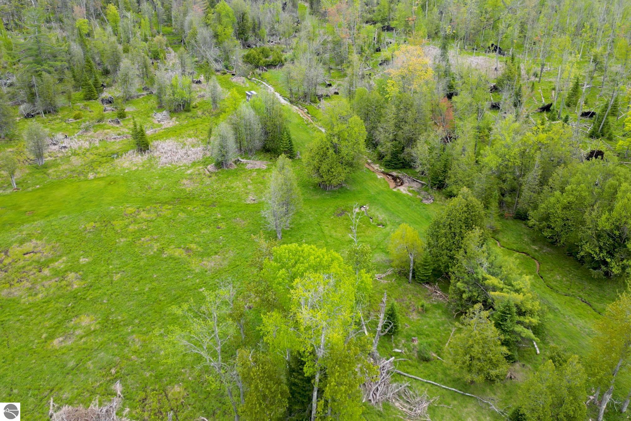 8401 S Sullivan Road, Cedar, MI 49621 — Photo 93
