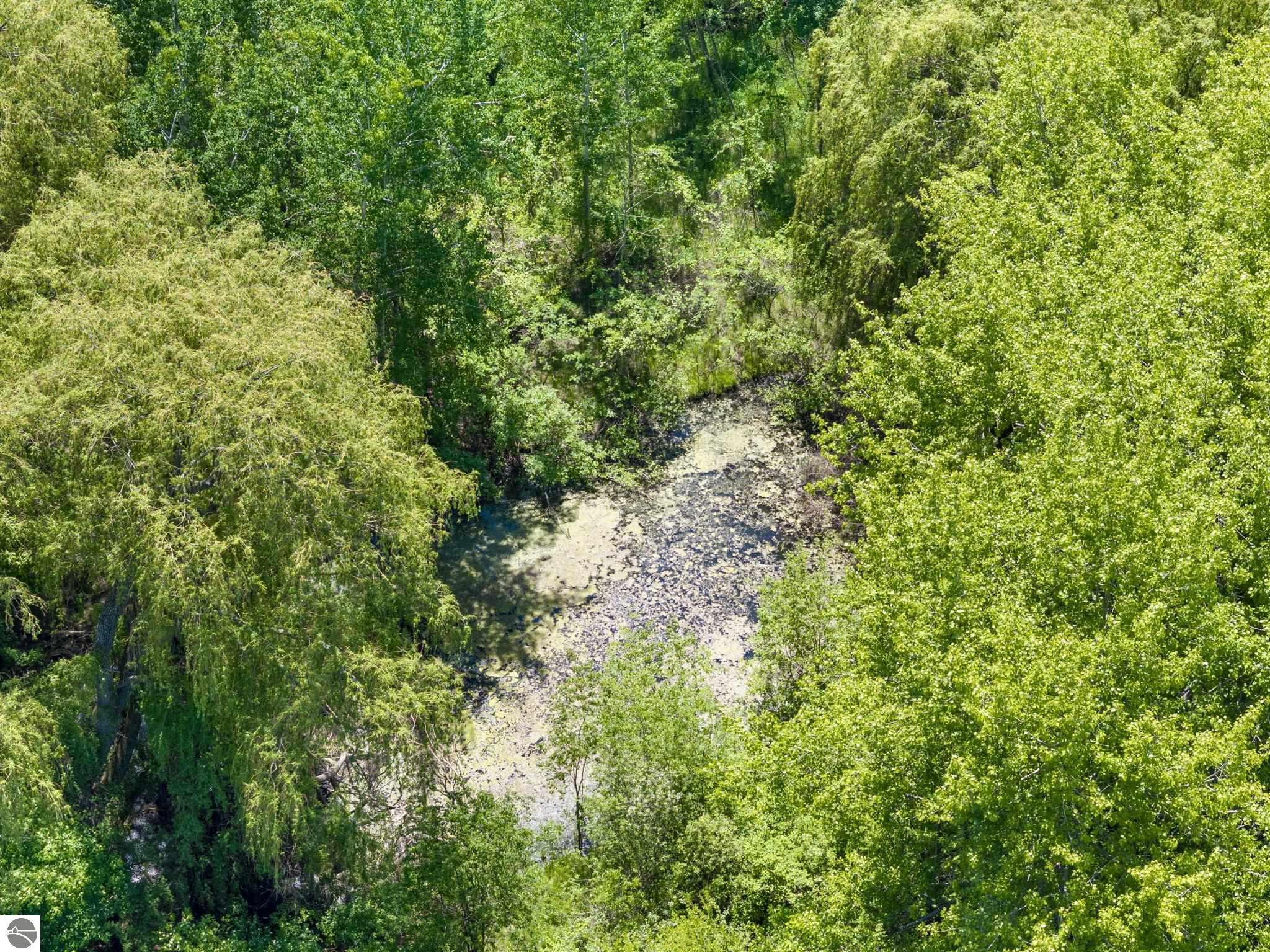 Image 65