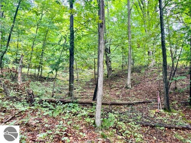 Killdale Avenue, Benzonia, MI 49616