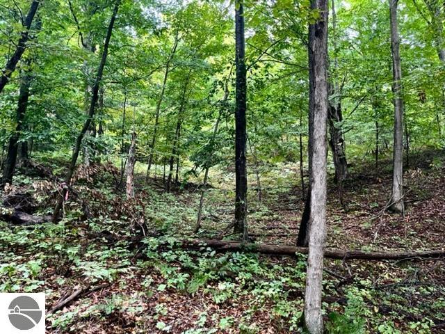 Killdale Avenue, Benzonia, MI 49616 — Photo 2