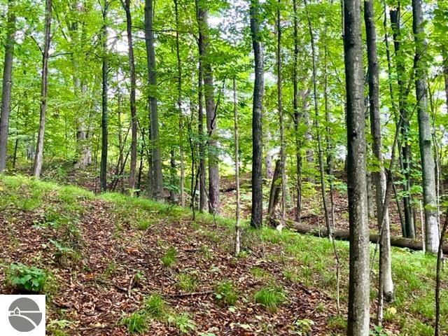 Killdale Avenue, Benzonia, MI 49616 — Photo 3