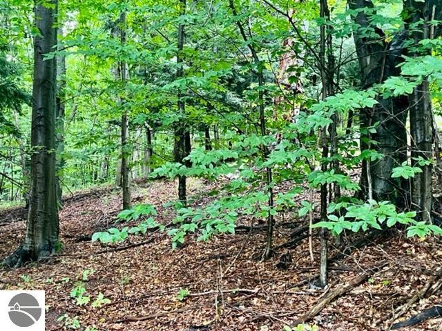 Killdale Avenue, Benzonia, MI 49616 — Photo 4