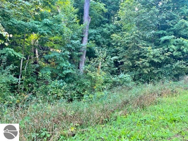 Killdale Avenue, Benzonia, MI 49616 — Photo 5