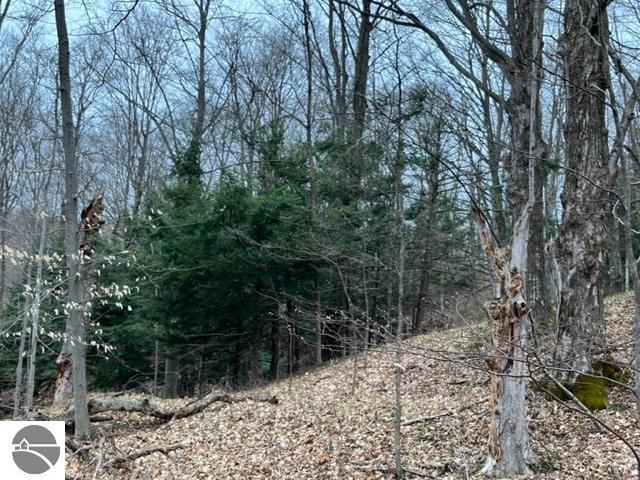 Killdale Avenue, Benzonia, MI 49616 — Photo 6
