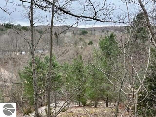 Killdale Avenue, Benzonia, MI 49616 — Photo 7
