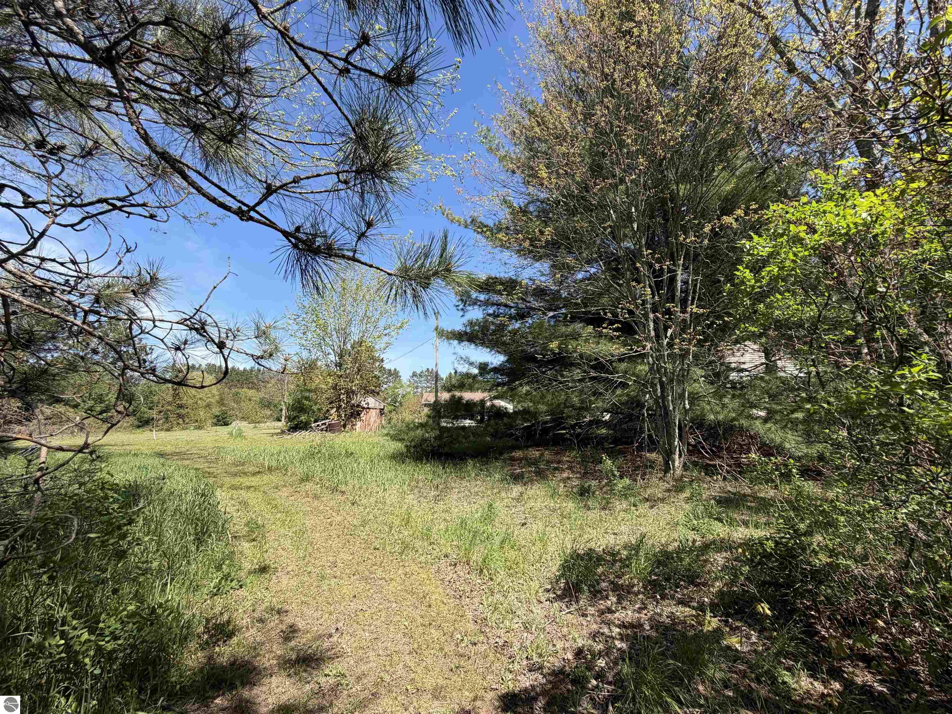 13158 Cinder Road, Beulah, MI 49617 — Photo 2