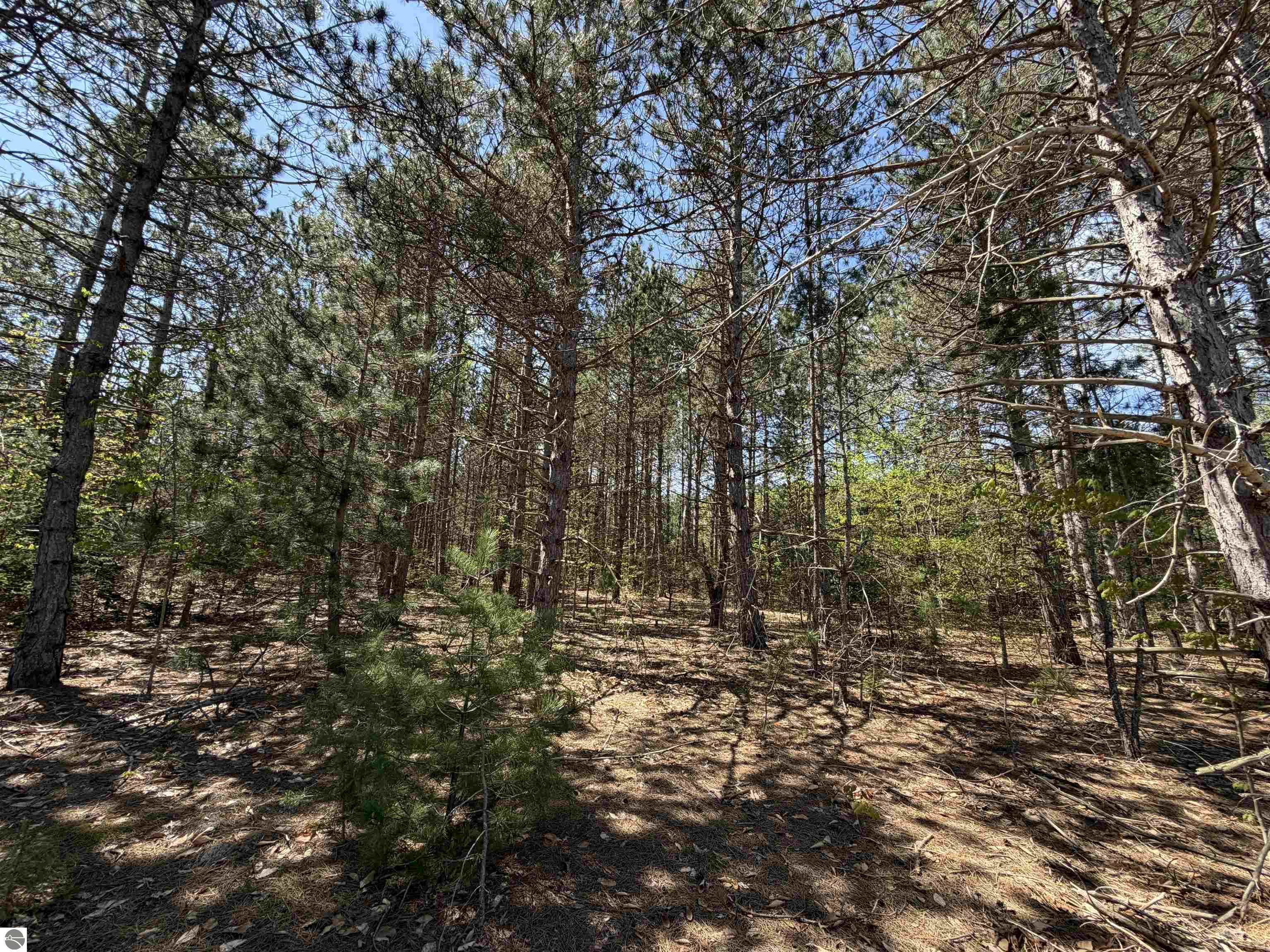 13158 Cinder Road, Beulah, MI 49617 — Photo 11